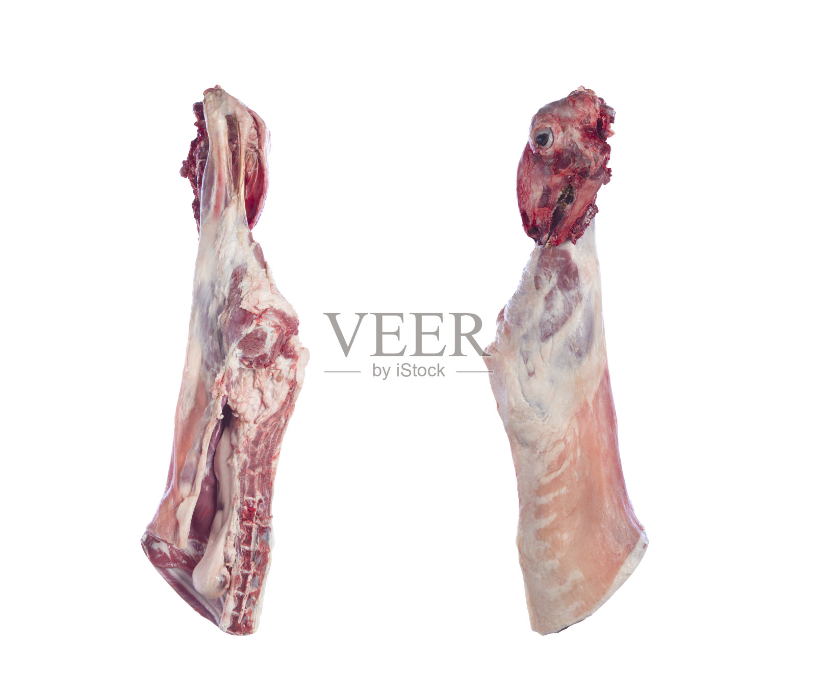 羊腿排骨照片摄影图片