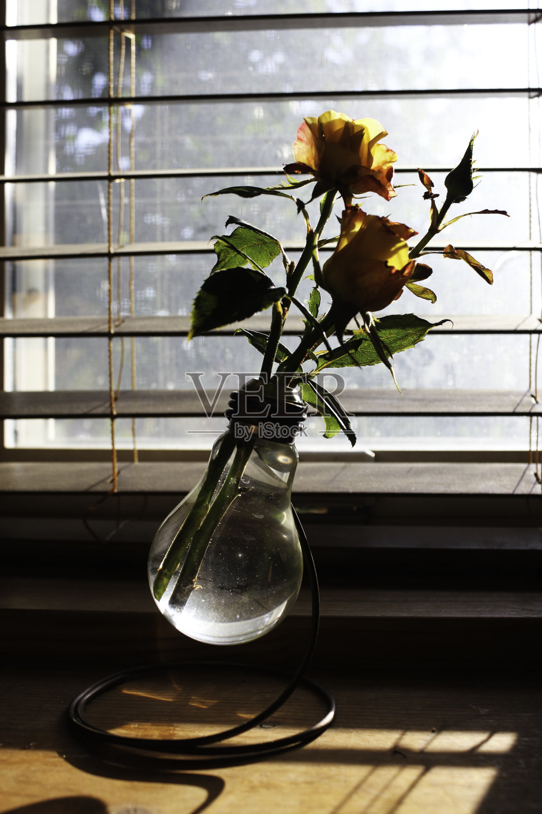 灯泡回收的玻璃花瓶照片摄影图片