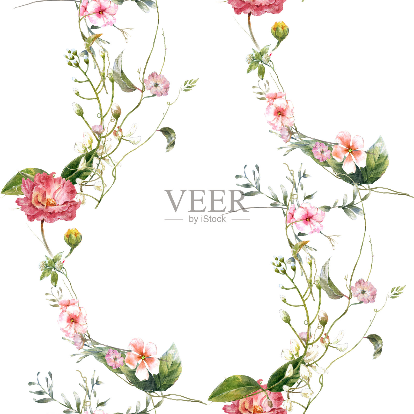 叶和花的水彩画，在白色的背景上无缝的图案插画图片素材