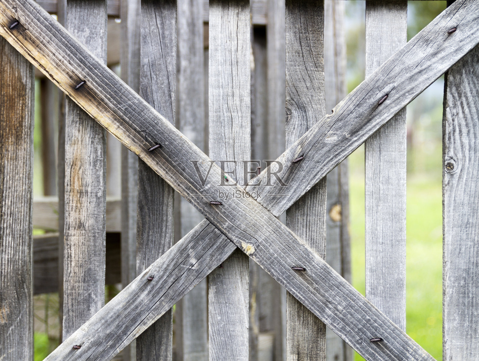 花园的木门照片摄影图片