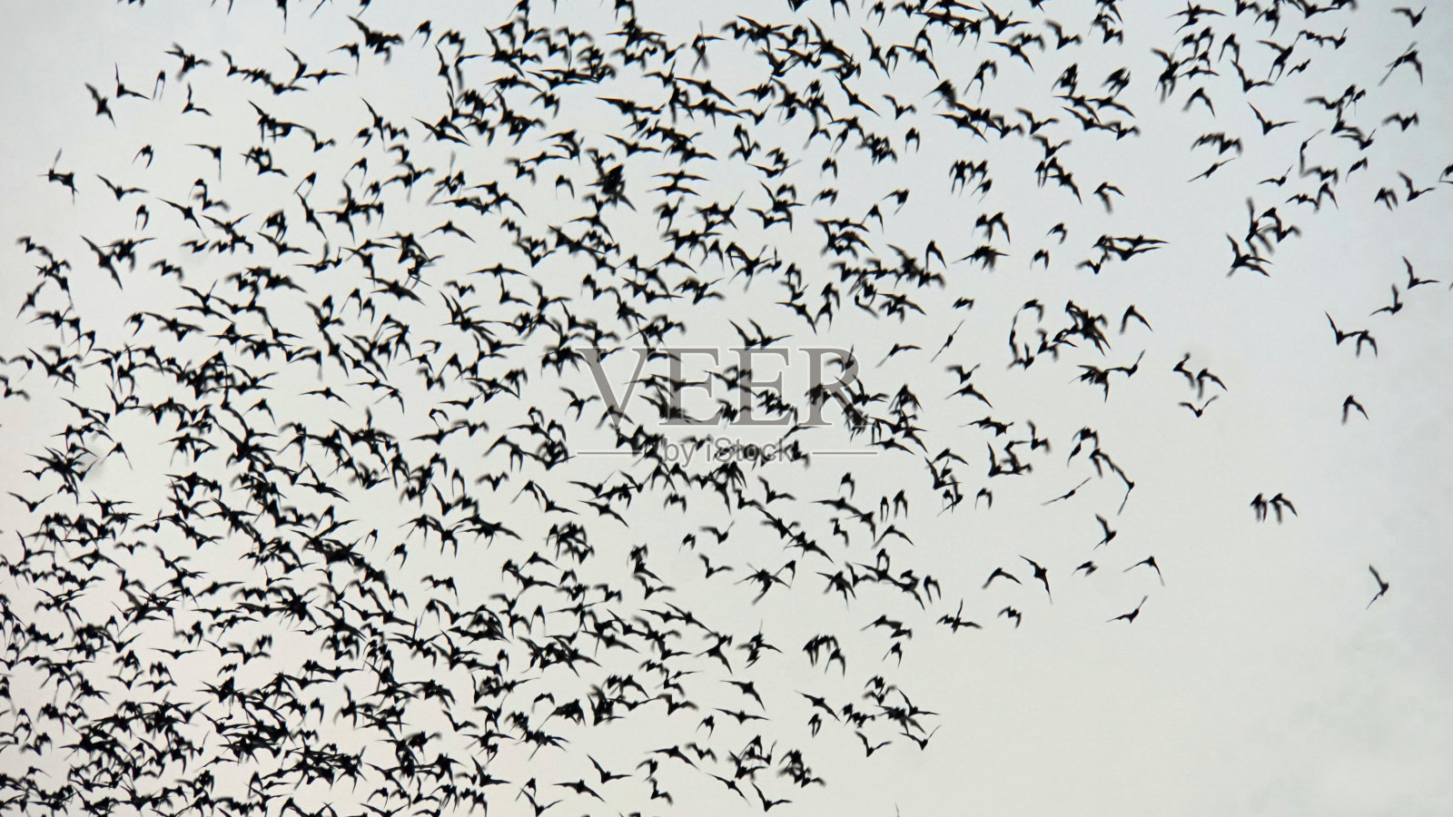 亚洲照片摄影图片