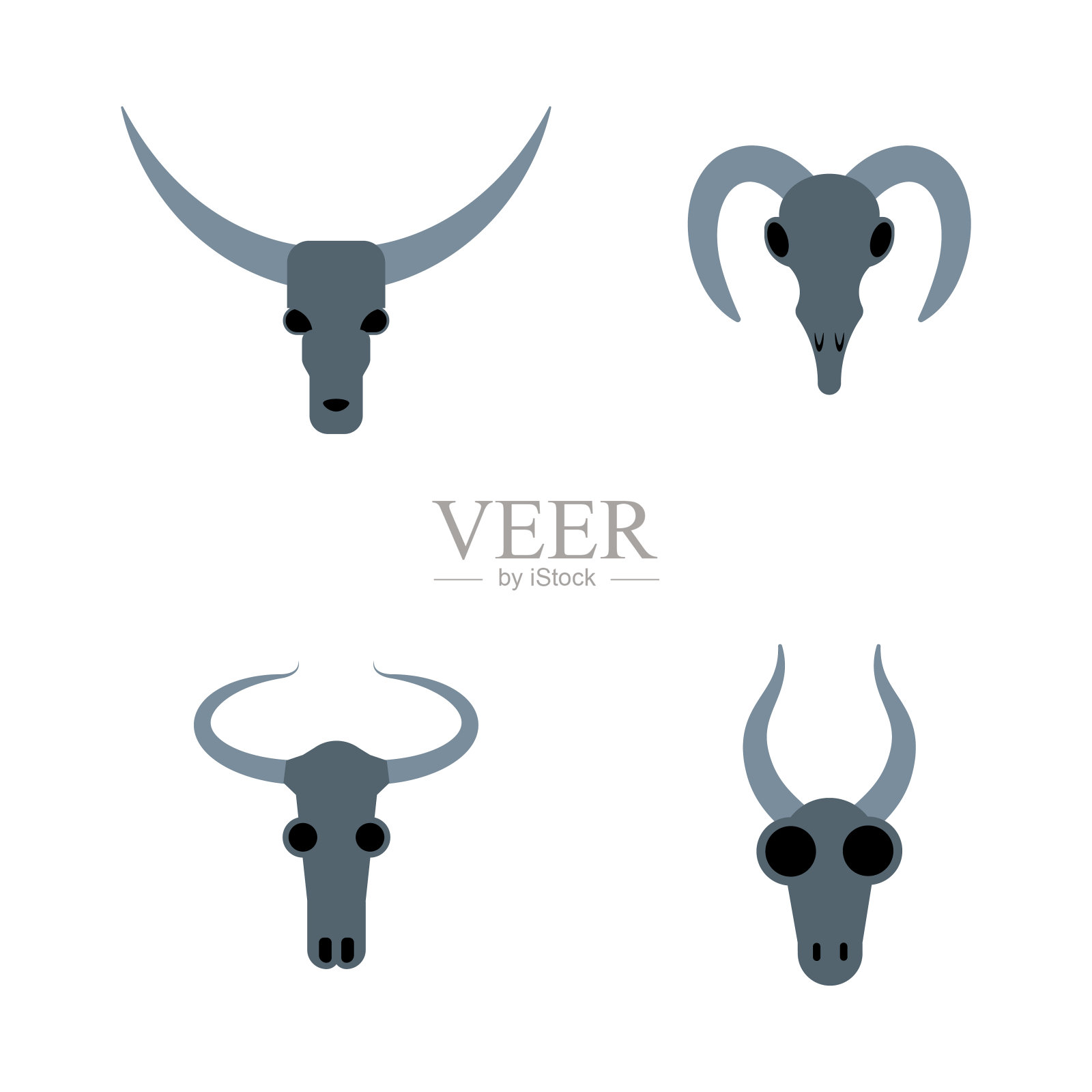 动物头骨套装插画图片素材