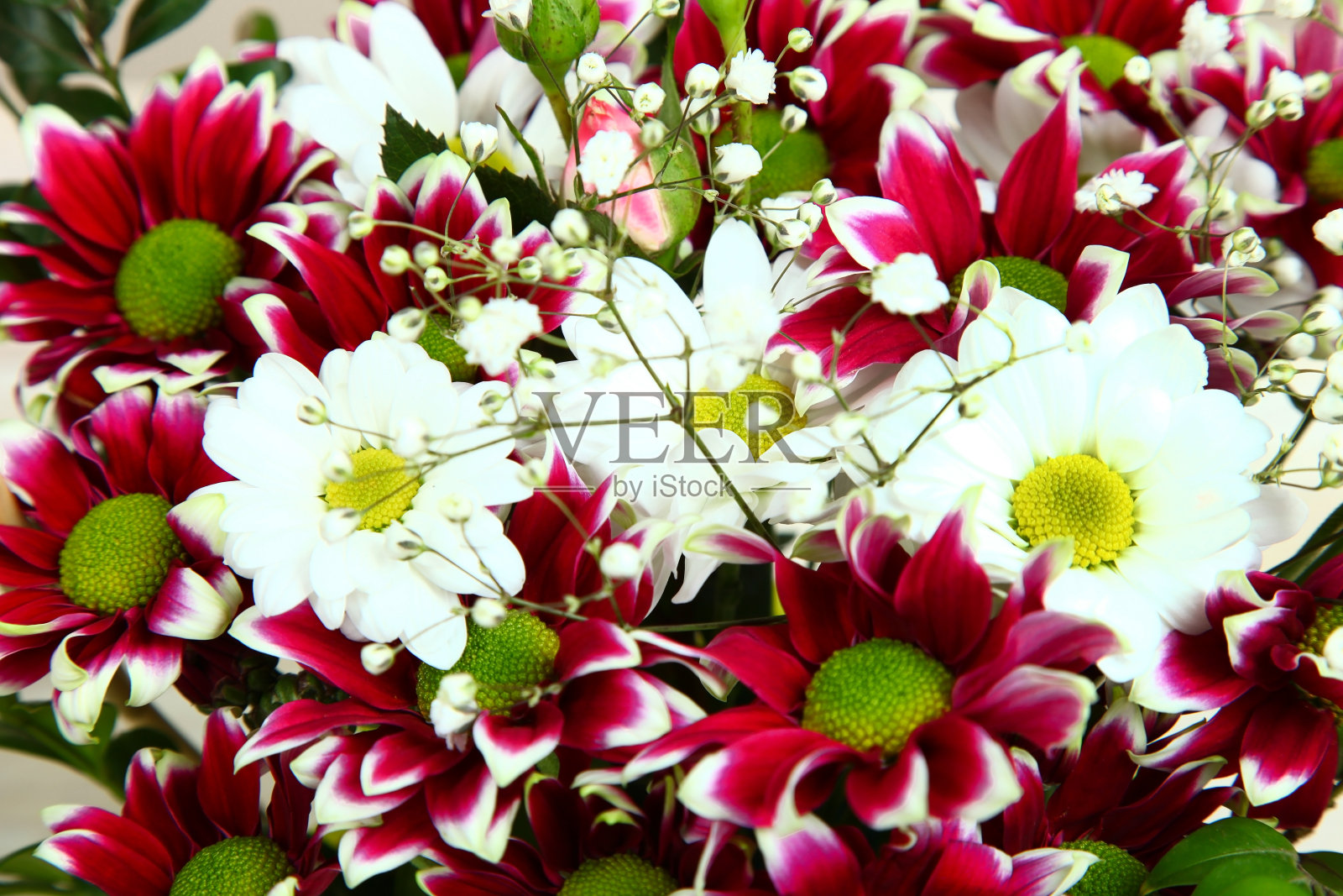 一束美丽的春花照片摄影图片