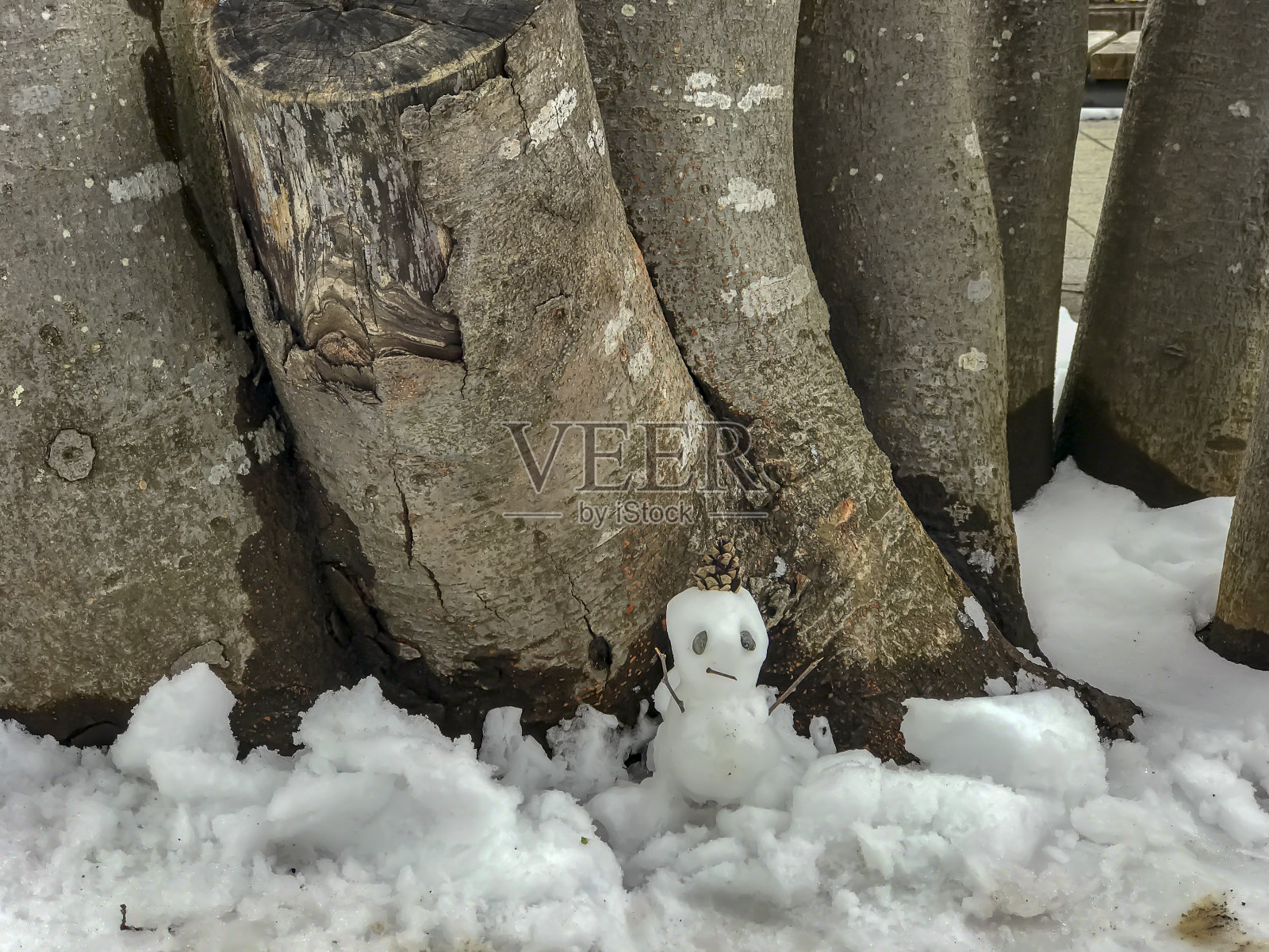 雪人照片摄影图片