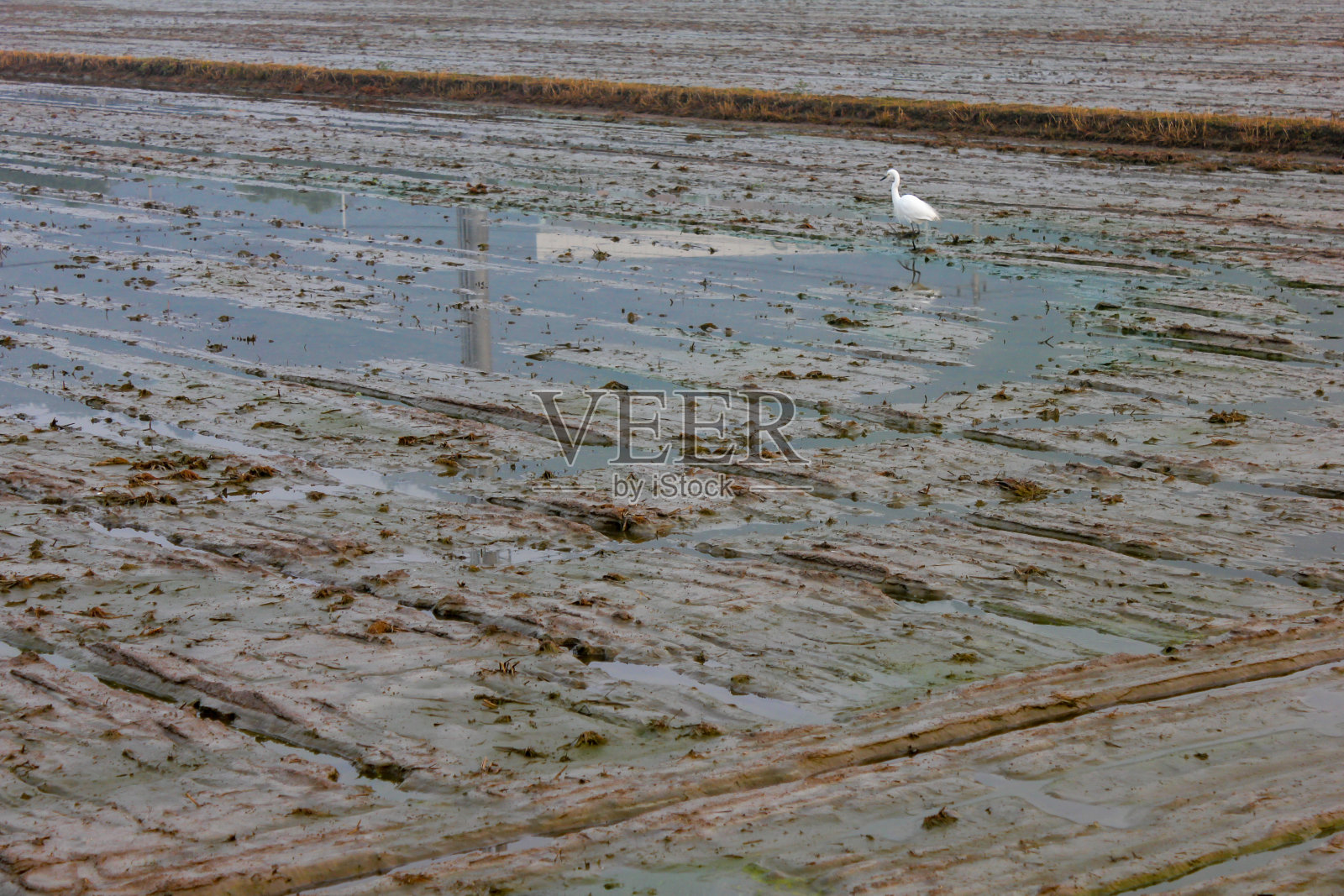 早春之前开始耕种照片摄影图片
