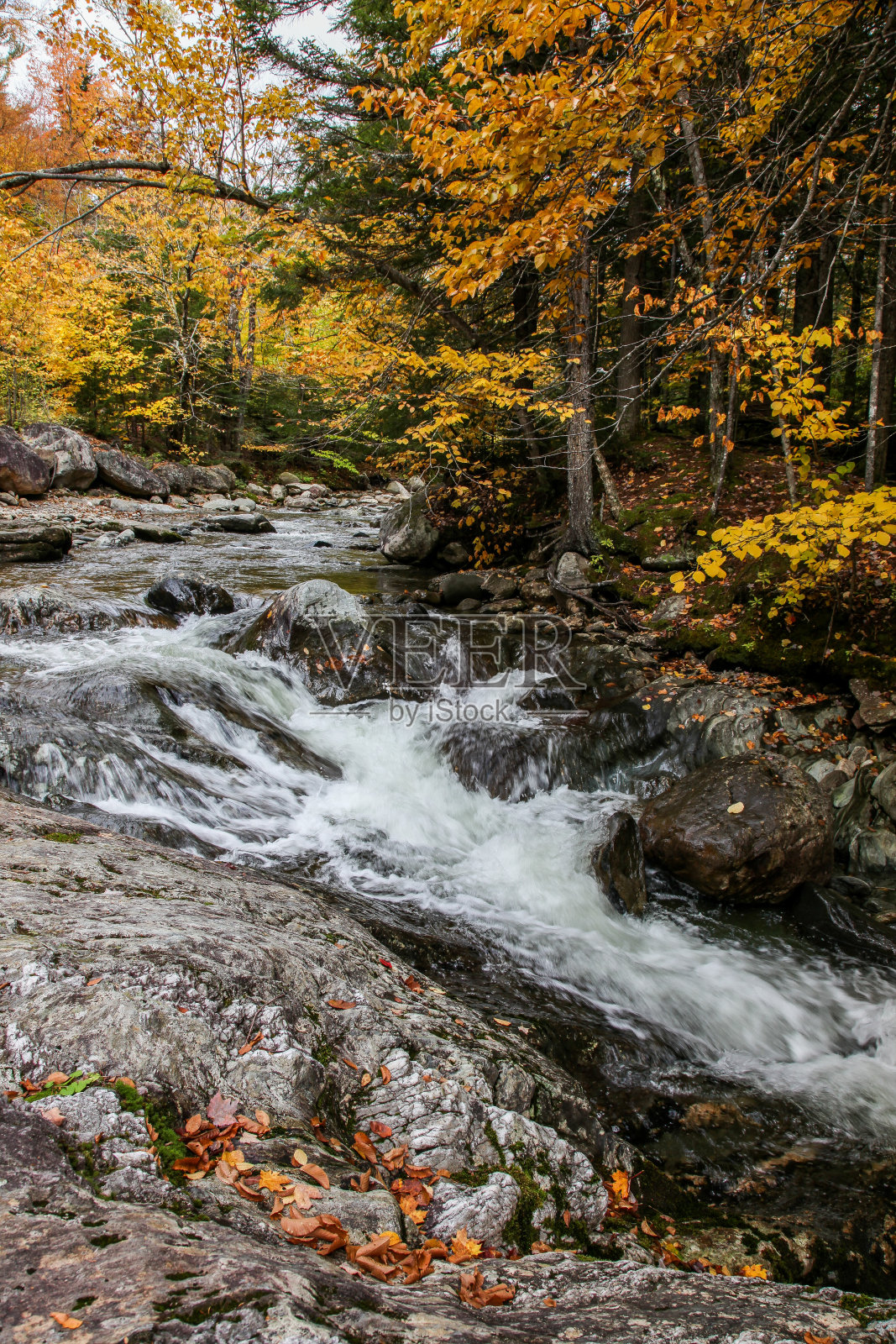 秋色河照片摄影图片