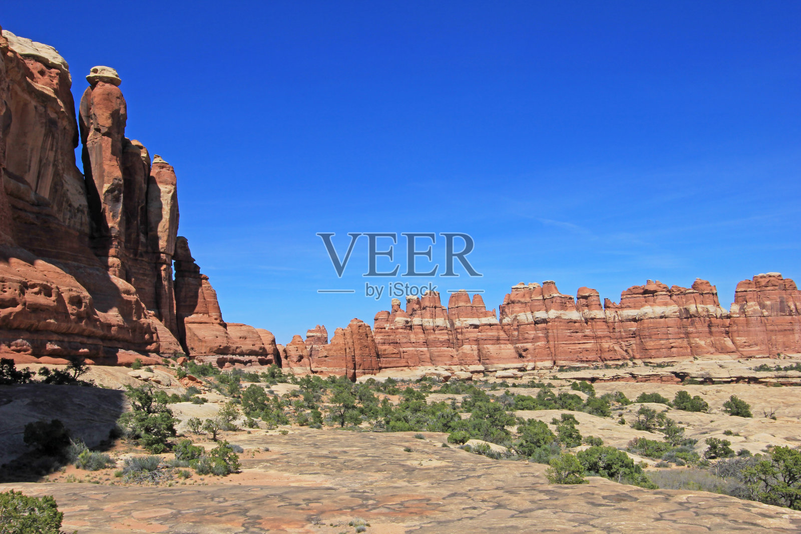 犹他州峡谷地国家公园的针区照片摄影图片