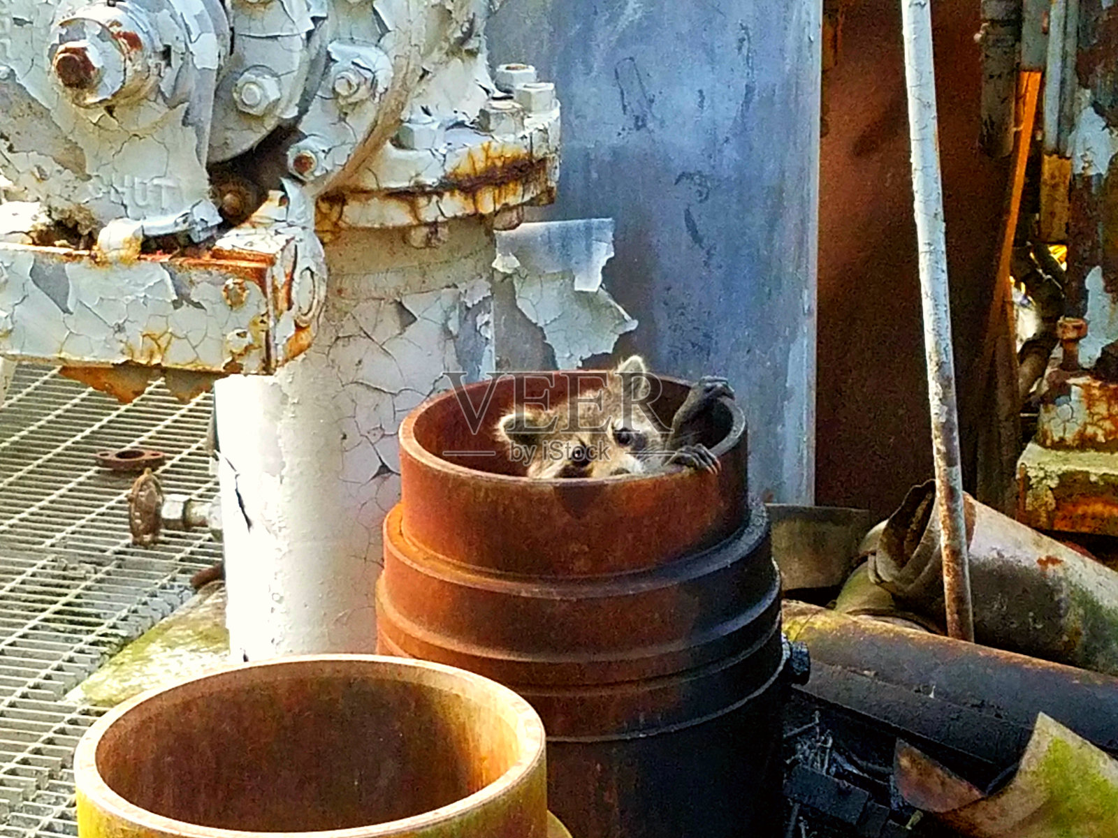 同位穿孔检索照片摄影图片