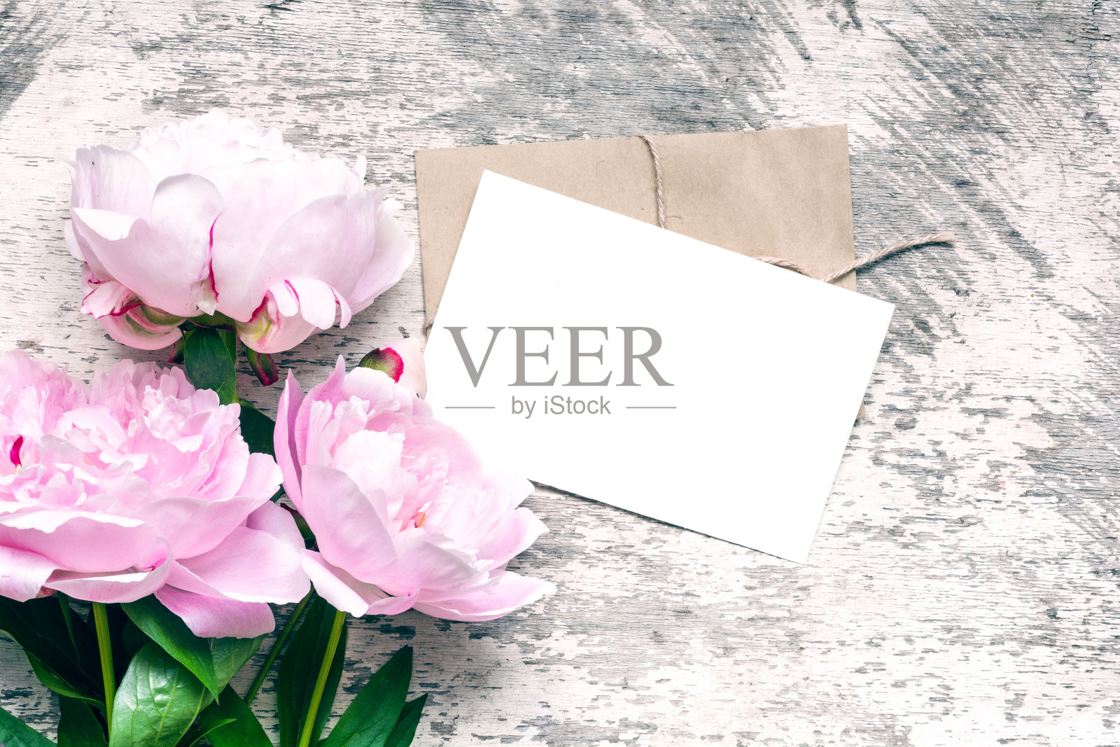 时尚的品牌模型，以显示您的艺术品。空白贺卡或婚礼请帖，粉红色牡丹花照片摄影图片