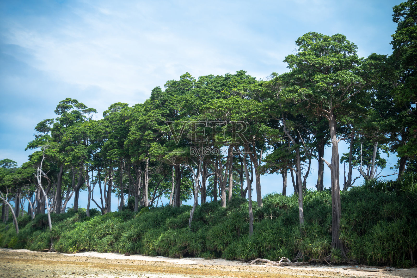 海滩，尼尔岛，安达曼和尼科巴，印度照片摄影图片