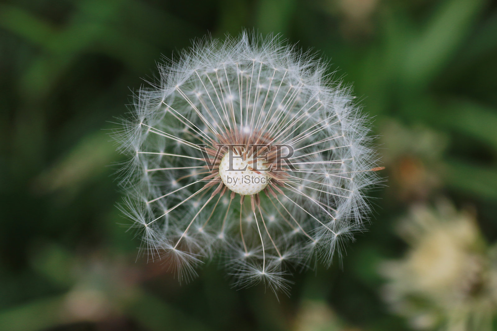 户外农场照片摄影图片