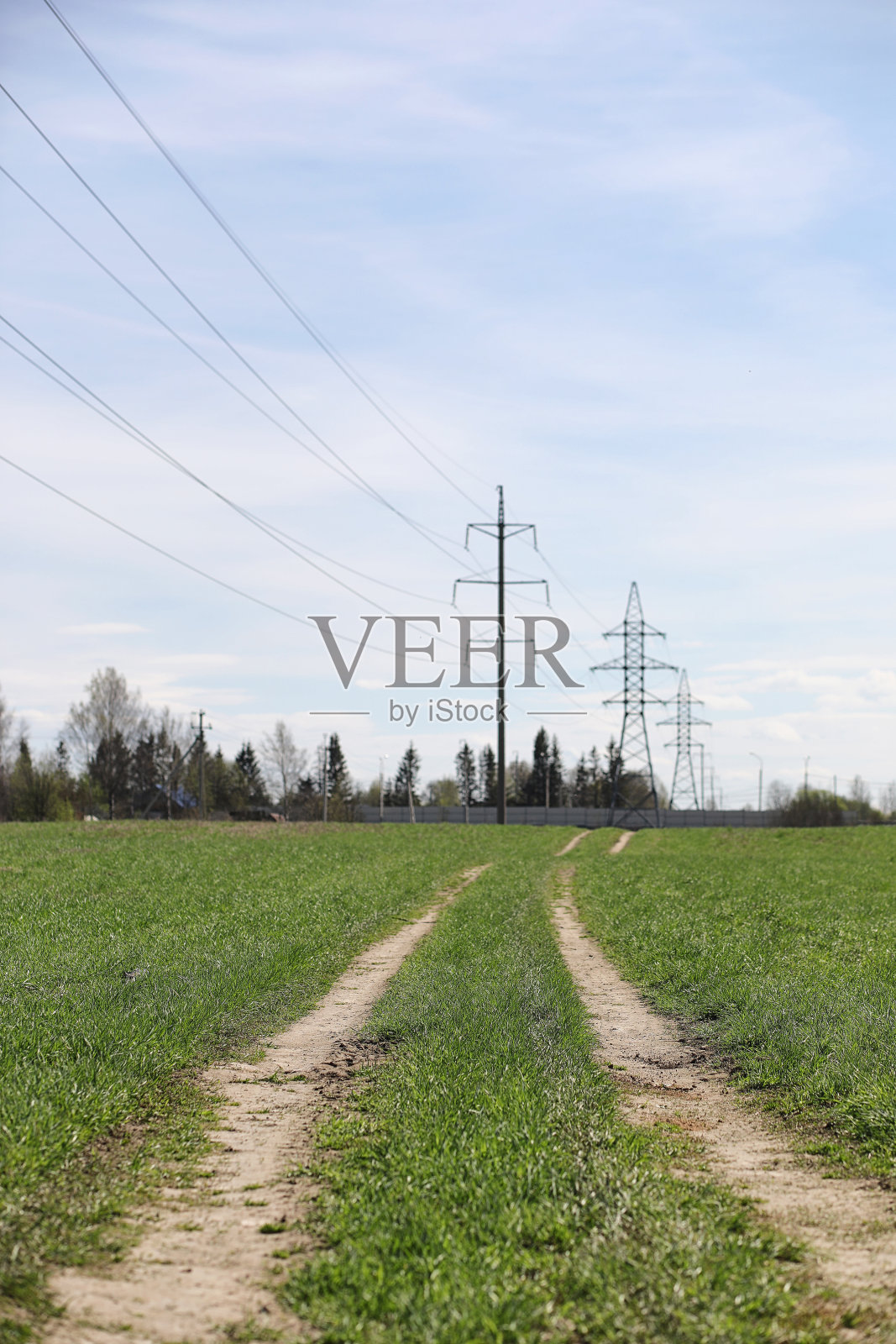 春天的大自然。树叶和灌木的第一片绿叶照片摄影图片