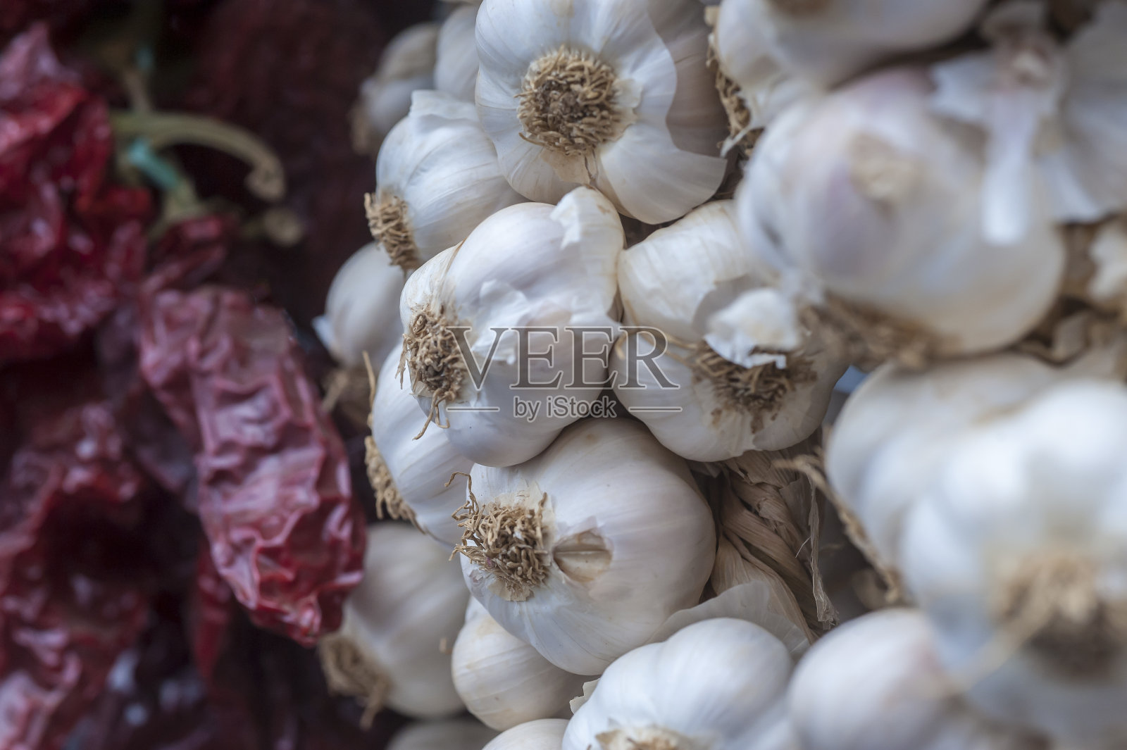 白洋葱照片摄影图片