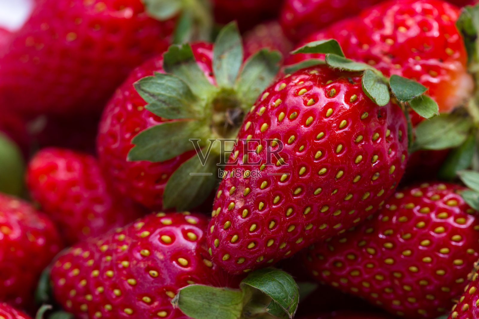 新鲜的草莓照片摄影图片