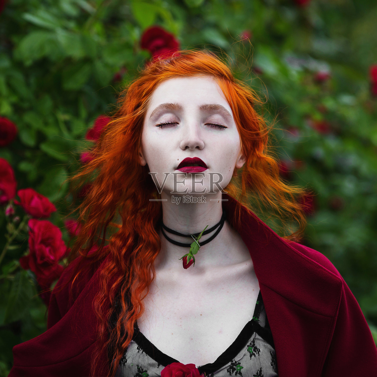 身穿红外套的红头发女孩在一丛红玫瑰的背景上摆姿势。红嘴唇和红指甲。戒指戴在手指上。长头发的。苍白的皮肤。挂在脖子上。照片摄影图片