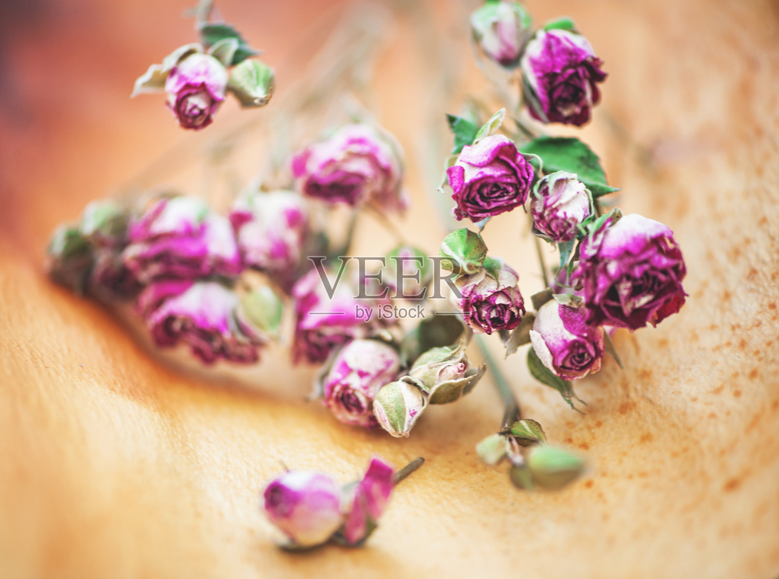 年份背景与干茶玫瑰照片摄影图片