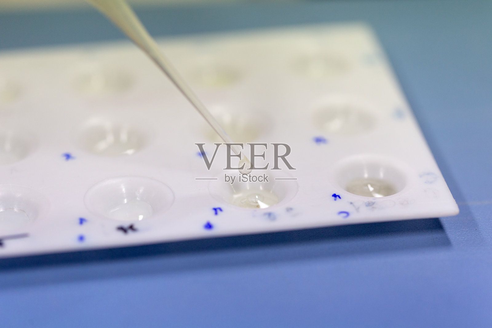 实验室对牛奶进行细菌、疾病检测照片摄影图片