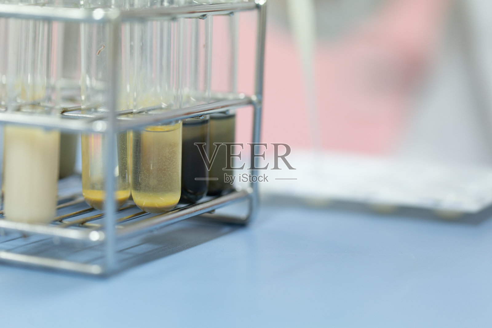 实验室对牛奶进行细菌、疾病检测照片摄影图片