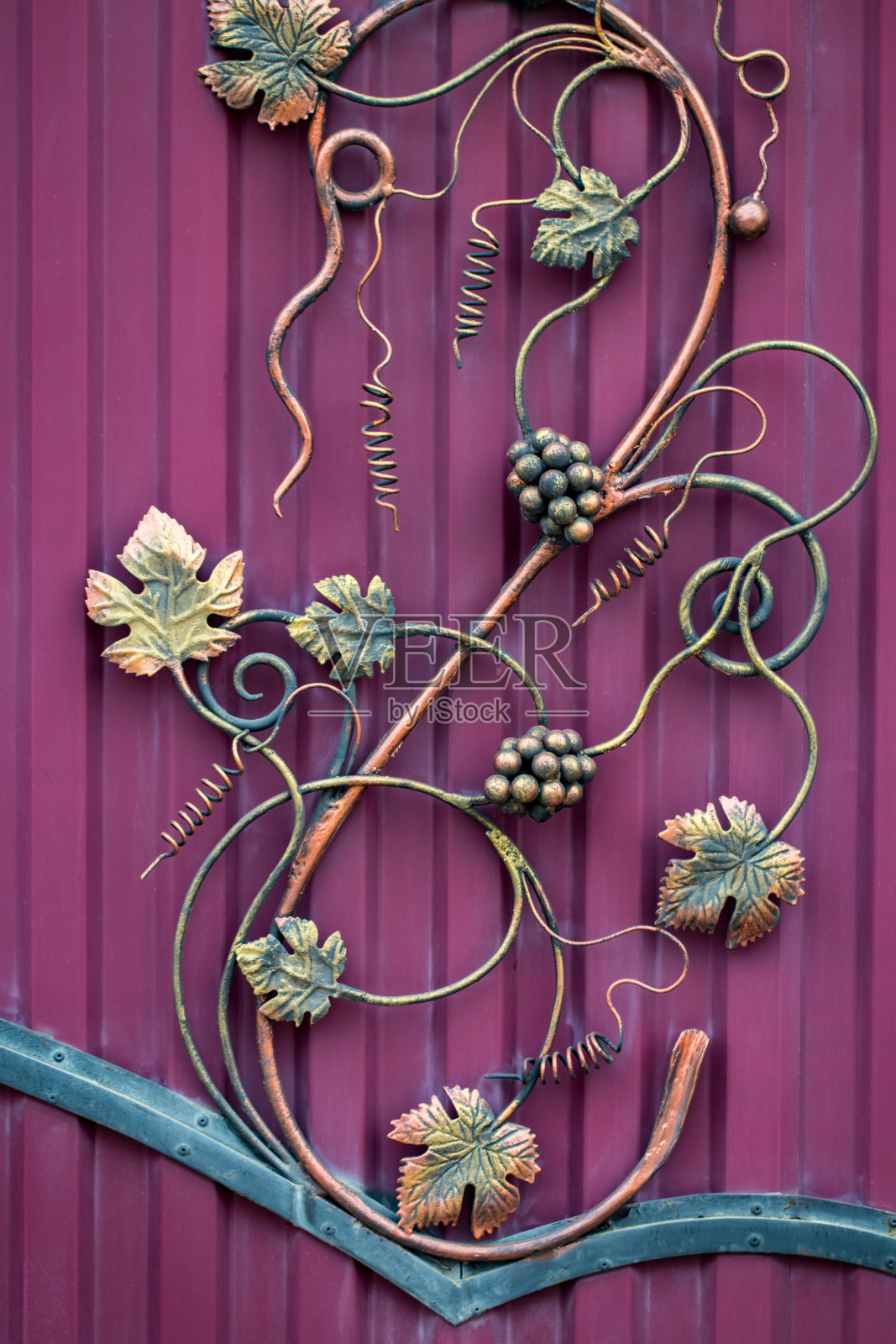 锻造葡萄串。华丽的铁艺元素的金属大门装饰照片摄影图片