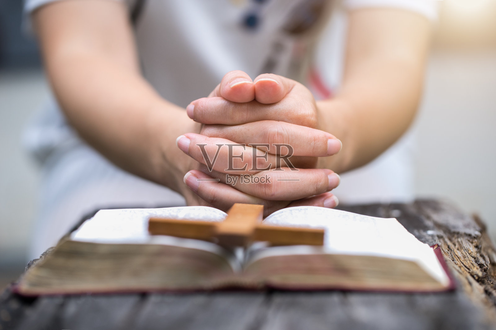 阅读圣经的女人照片摄影图片