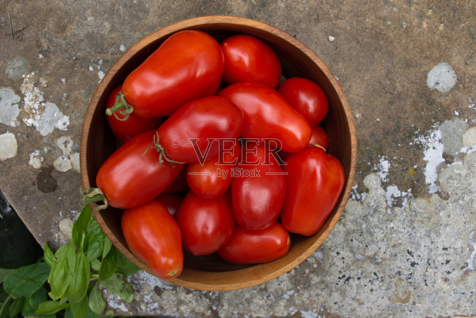 成熟的罗马番茄和新鲜的罗勒照片摄影图片