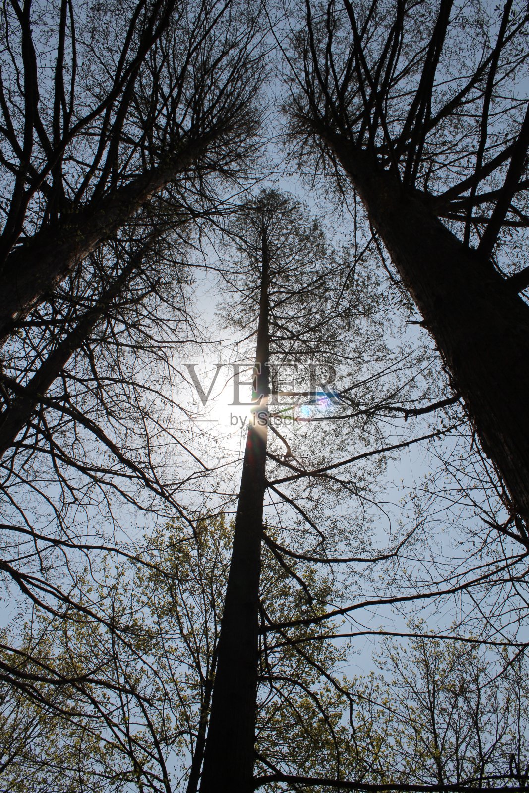 大自然中的庙宇和公园照片摄影图片