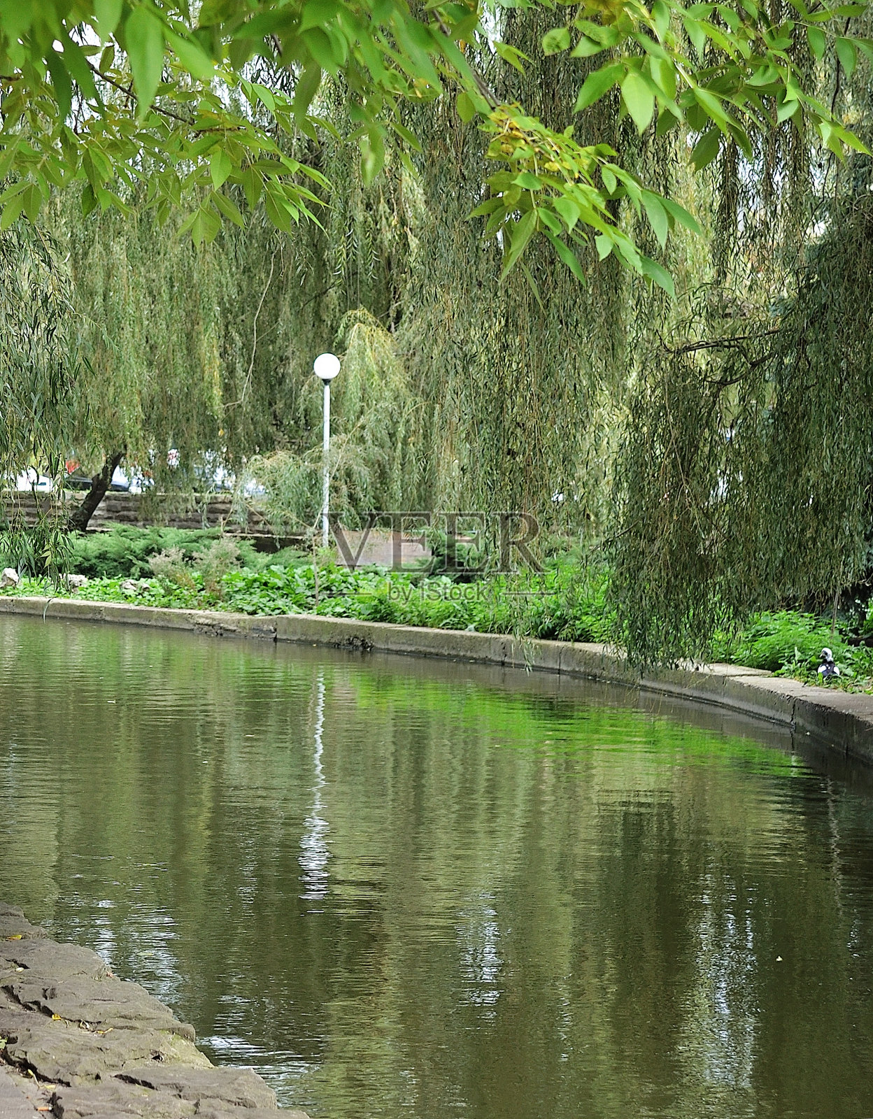 美丽的春景与小河照片摄影图片