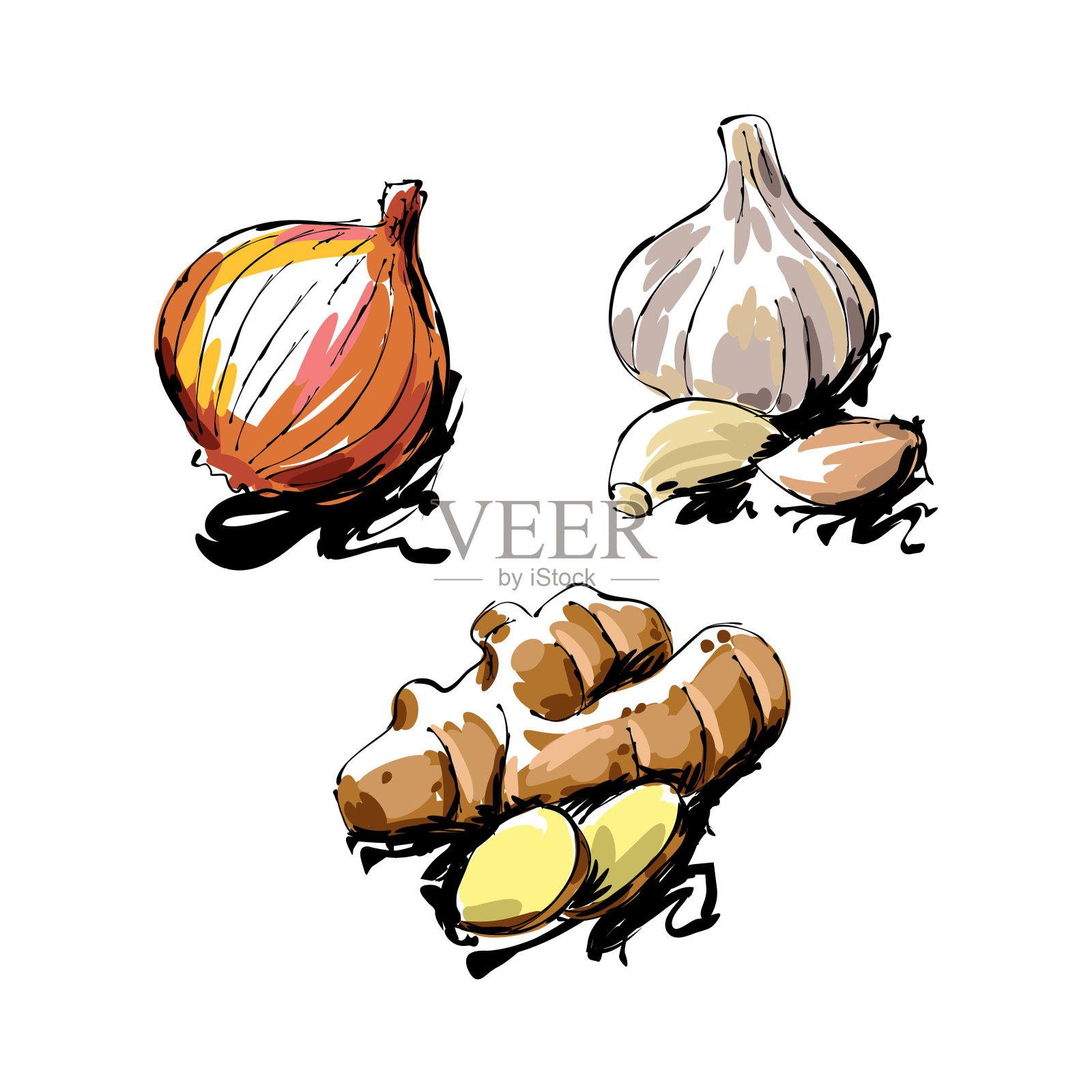 蔬菜画插画图片素材