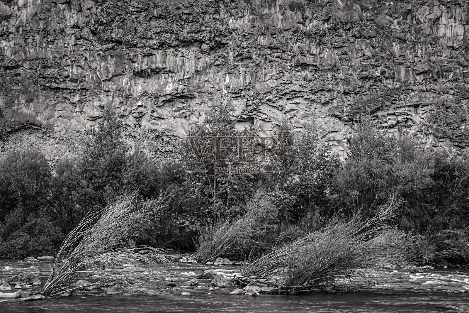蒙古照片摄影图片