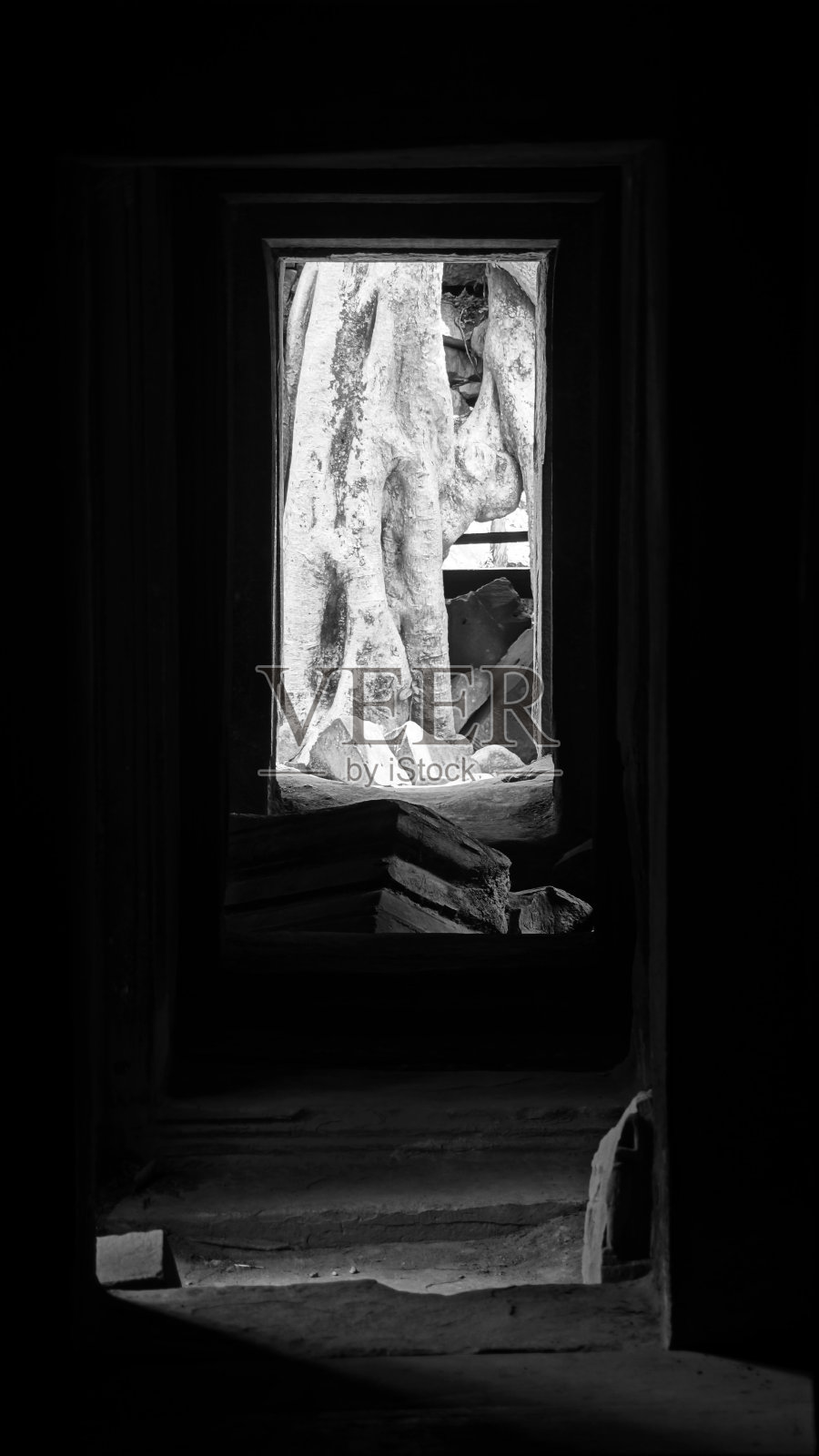 塔普隆树庙照片摄影图片