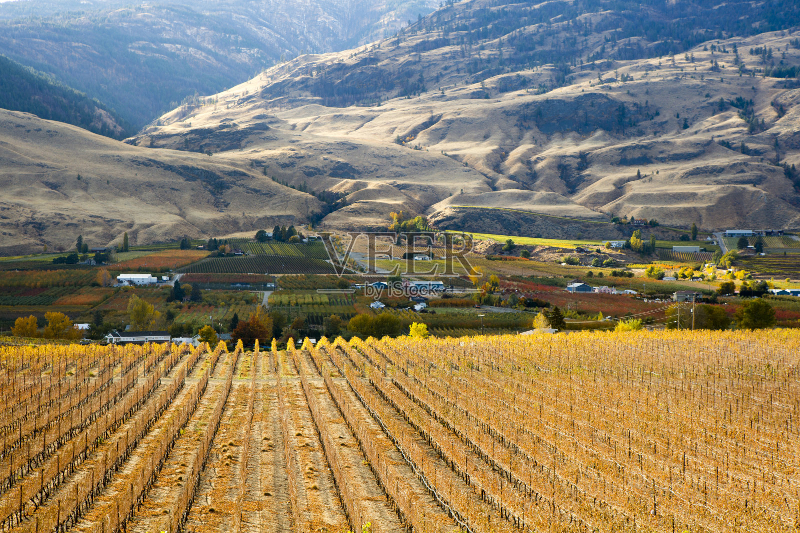 不列颠哥伦比亚省奥利弗奥卡那根谷照片摄影图片