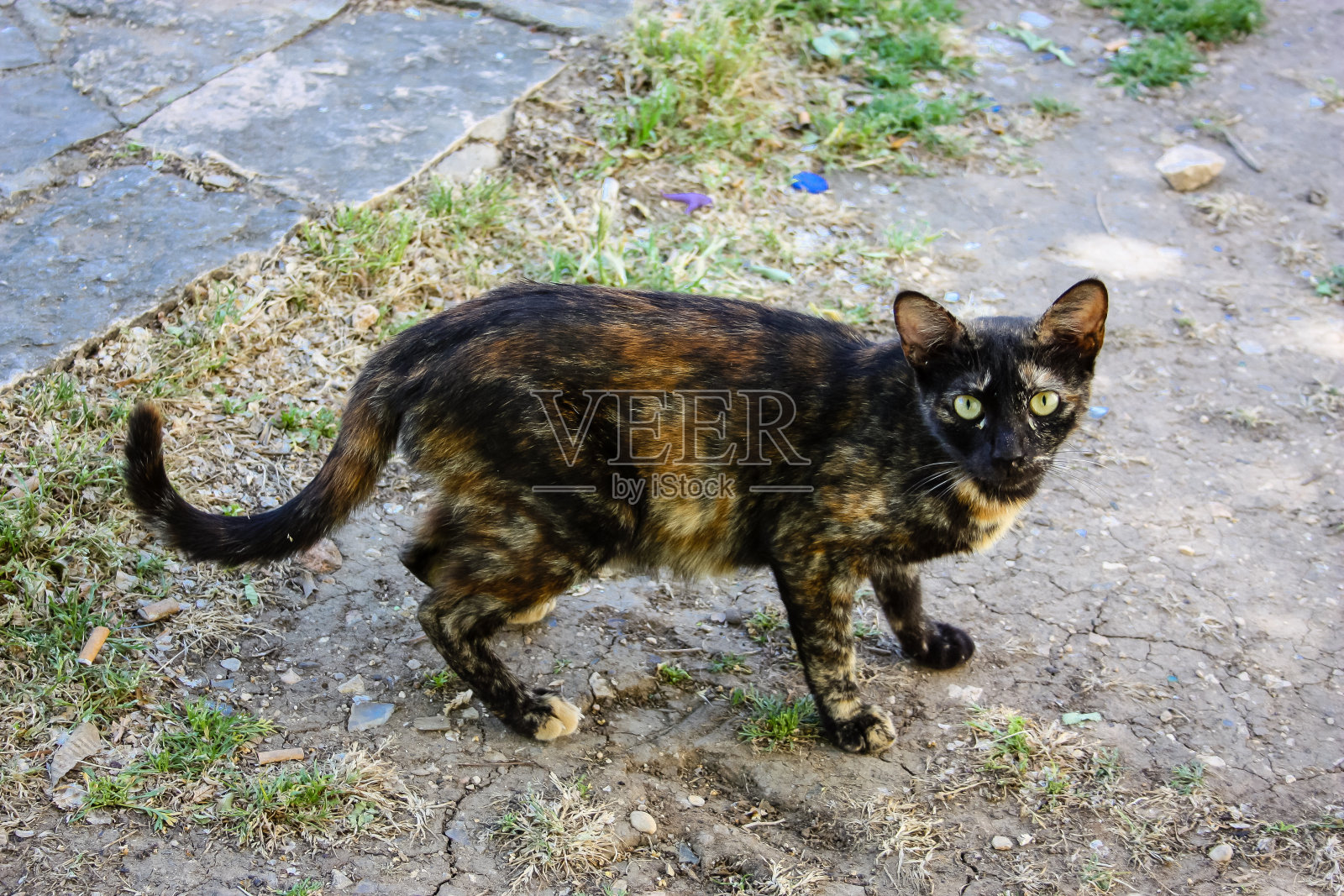 耶路撒冷的颜色照片摄影图片