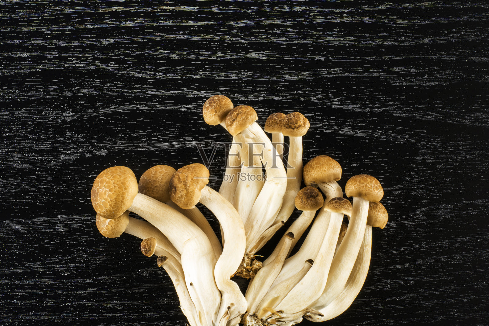 新鲜的生的棕色shimeji蘑菇，在黑木上照片摄影图片