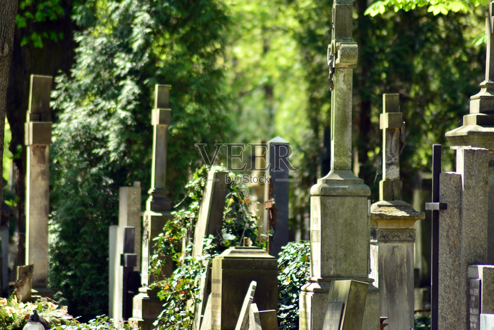 历史cementery照片摄影图片