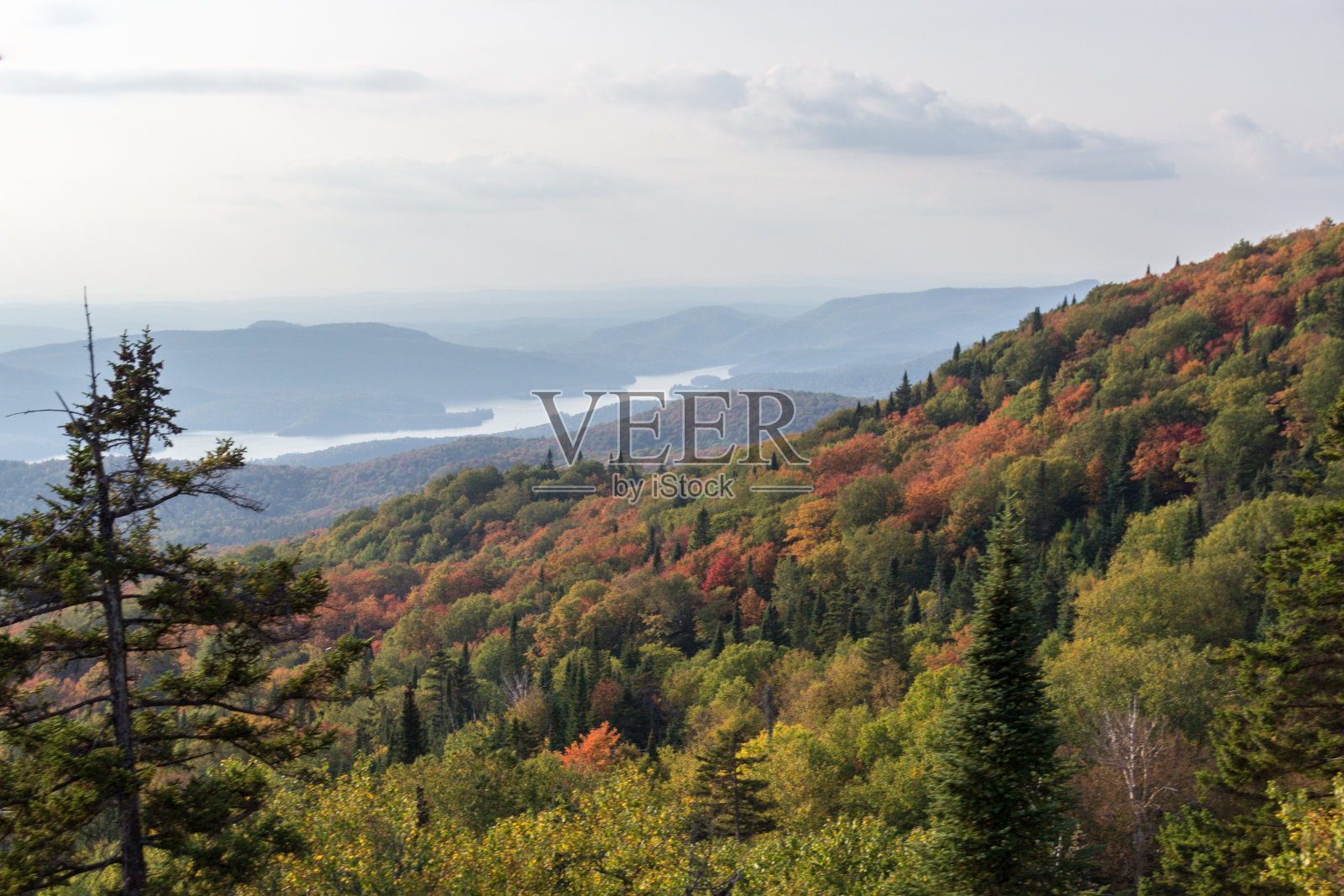 震颤山(加拿大)照片摄影图片