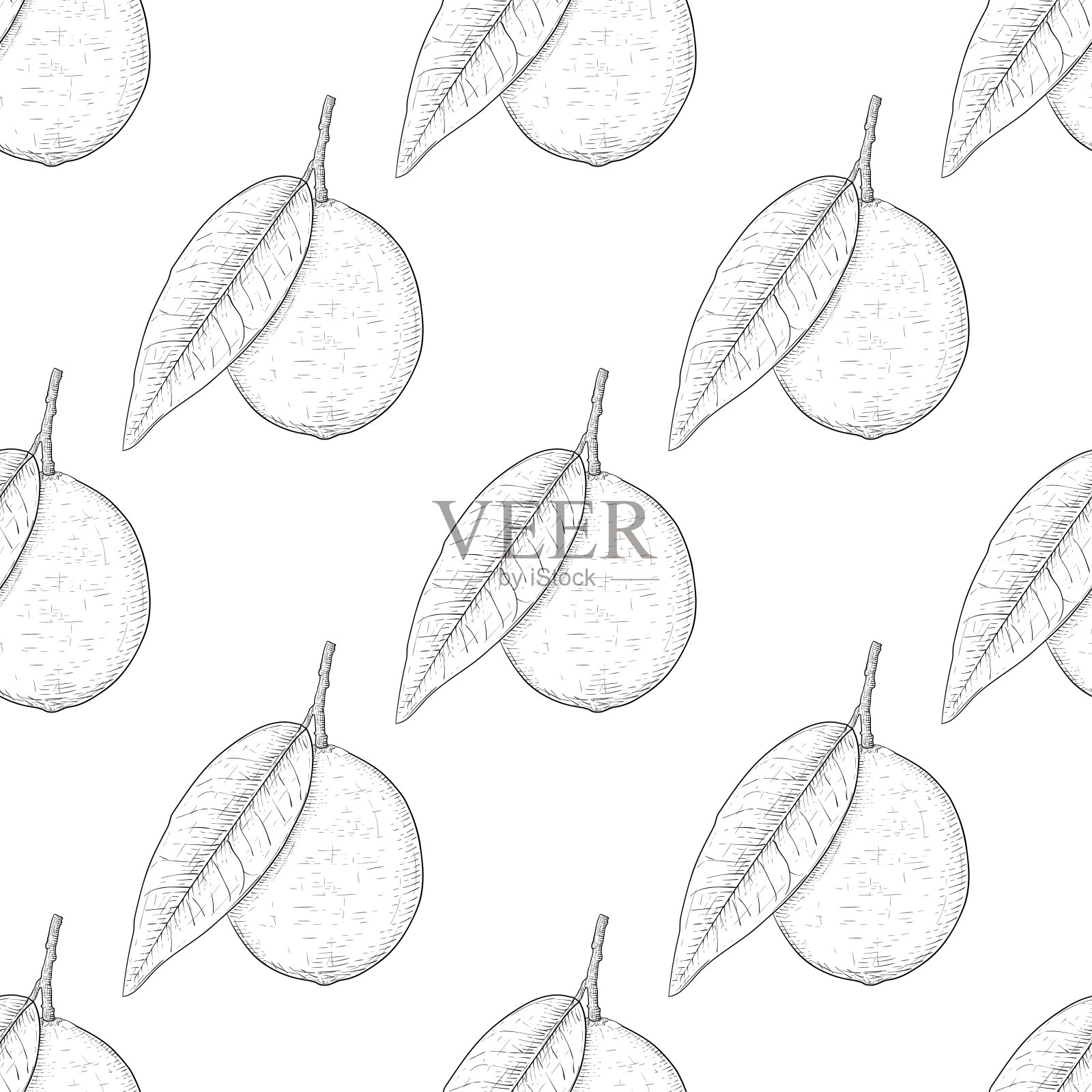 石灰的水果。手绘草图为无缝模式插画图片素材