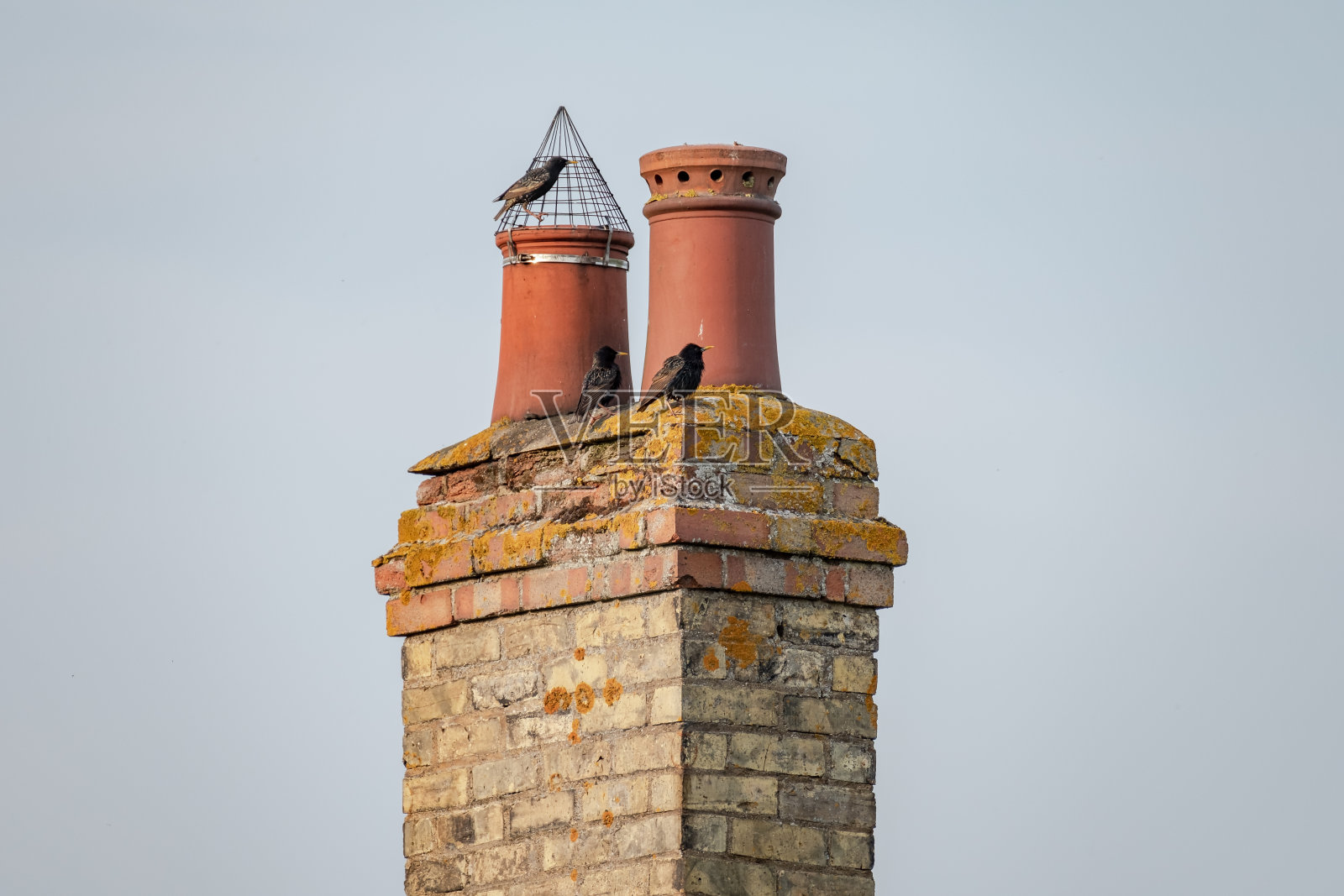 非常古老的双烟囱和锅在一个腐烂和严重风化的砖烟囱。照片摄影图片
