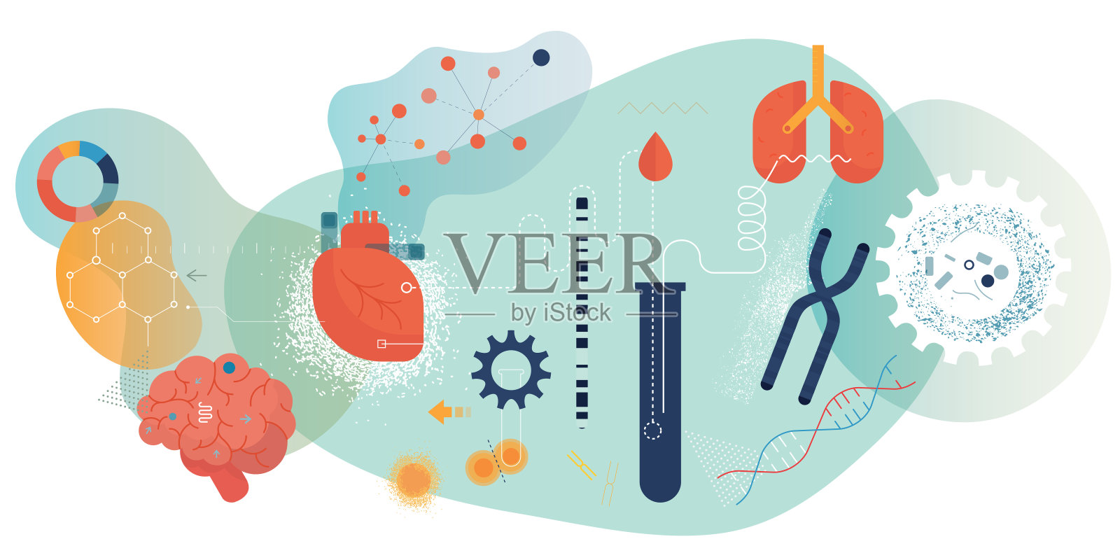 生物医学工程横版设计元素图片