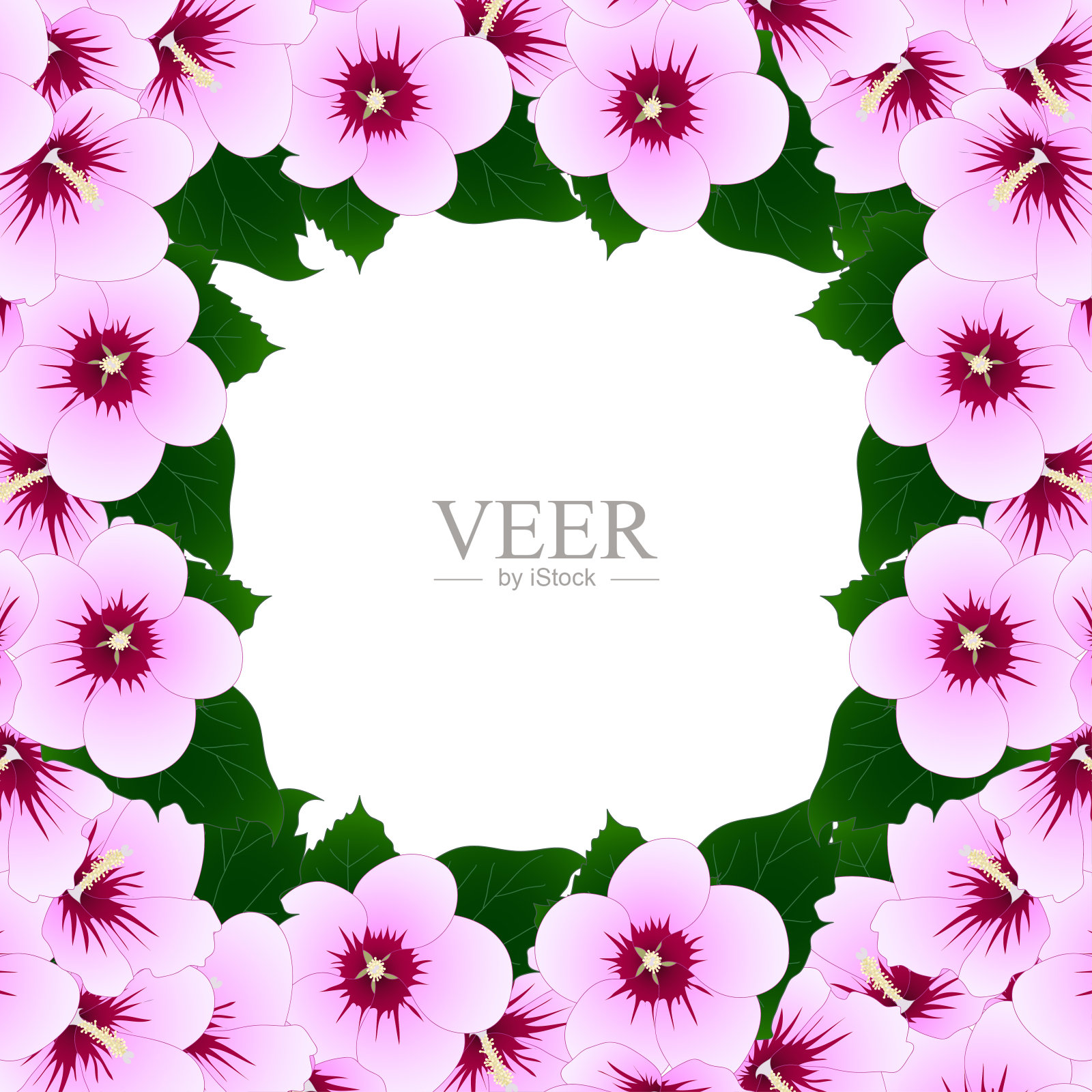 木槿-沙龙的玫瑰插画图片素材