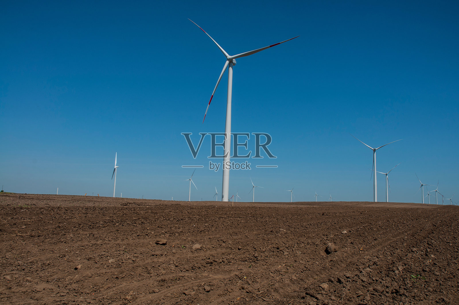 塞尔维亚东北部照片摄影图片