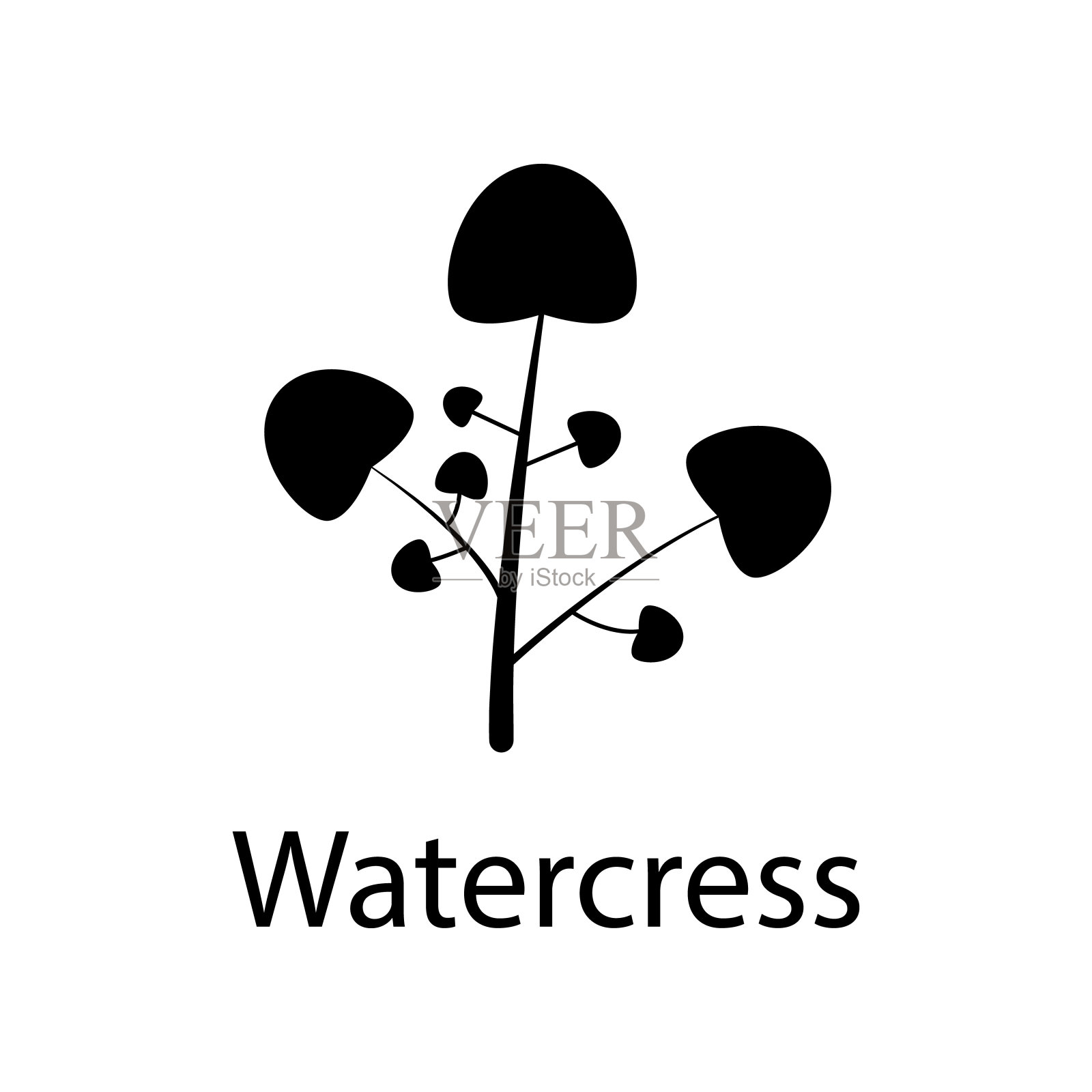 豆瓣菜插图。移动概念和web应用的植物图标元素。详细的豆瓣菜插图可以用于网页和移动图标素材