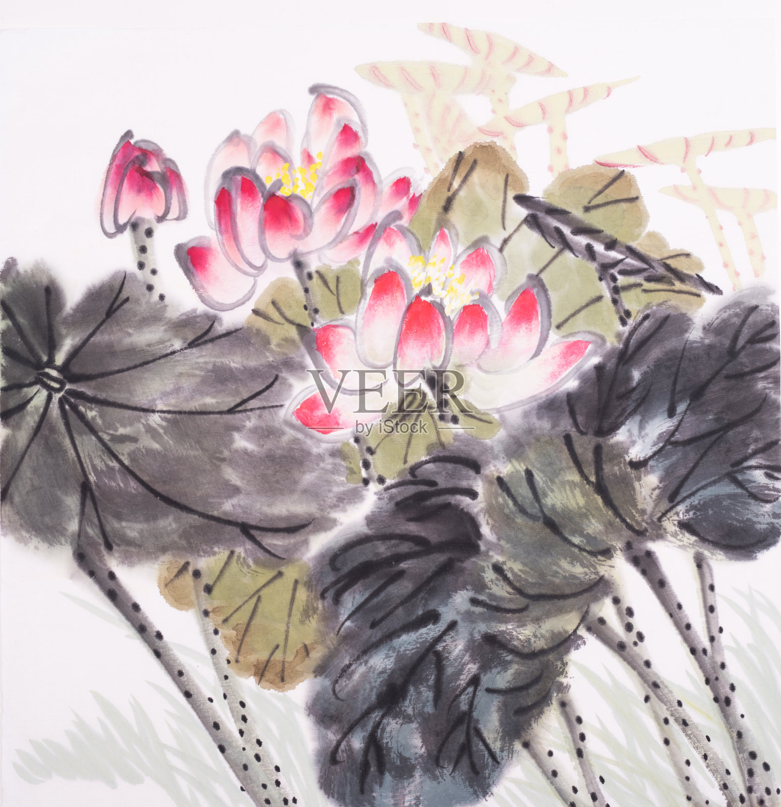 荷花手绘水墨，中国水彩画插画图片素材