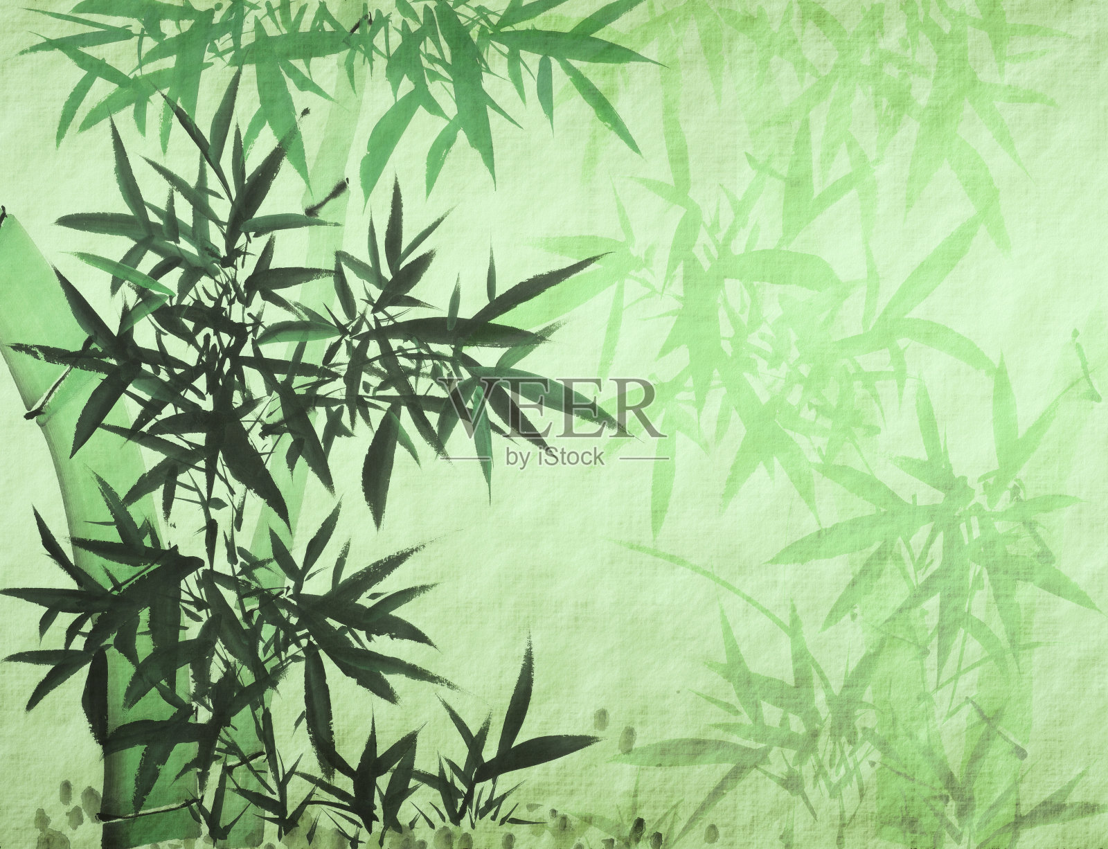 竹水墨画插画图片素材