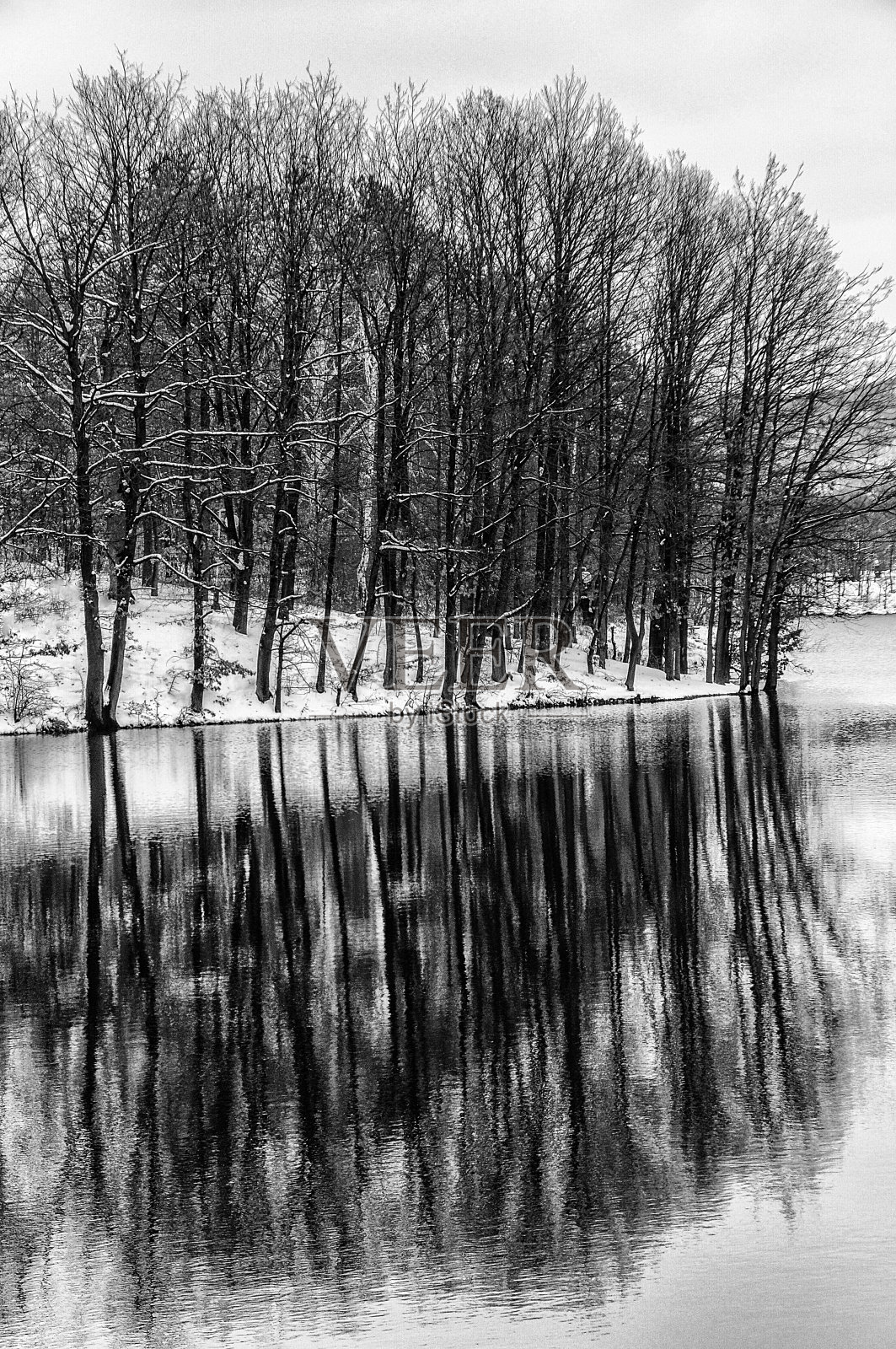 黑白自然照片摄影图片