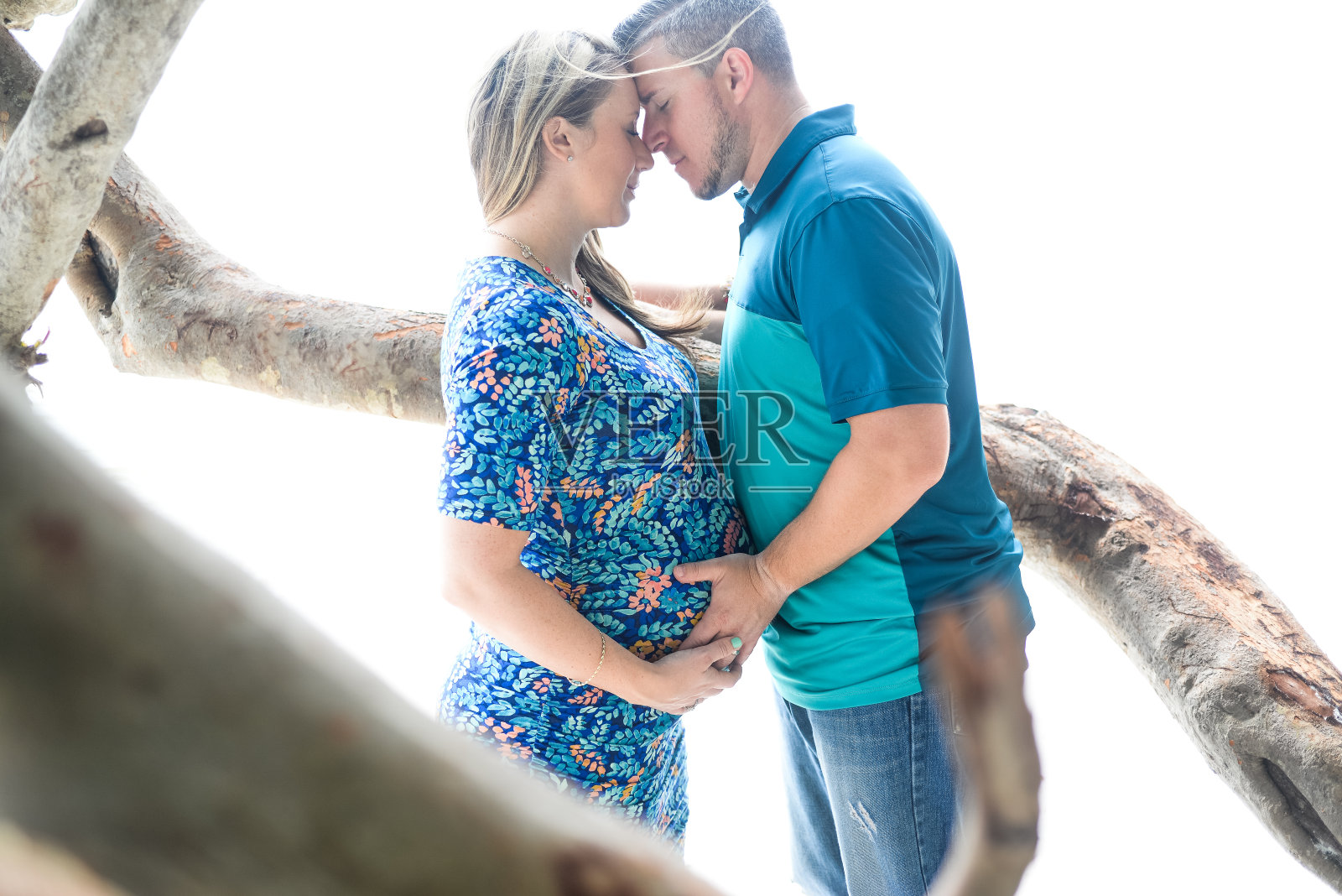 增长照片摄影图片