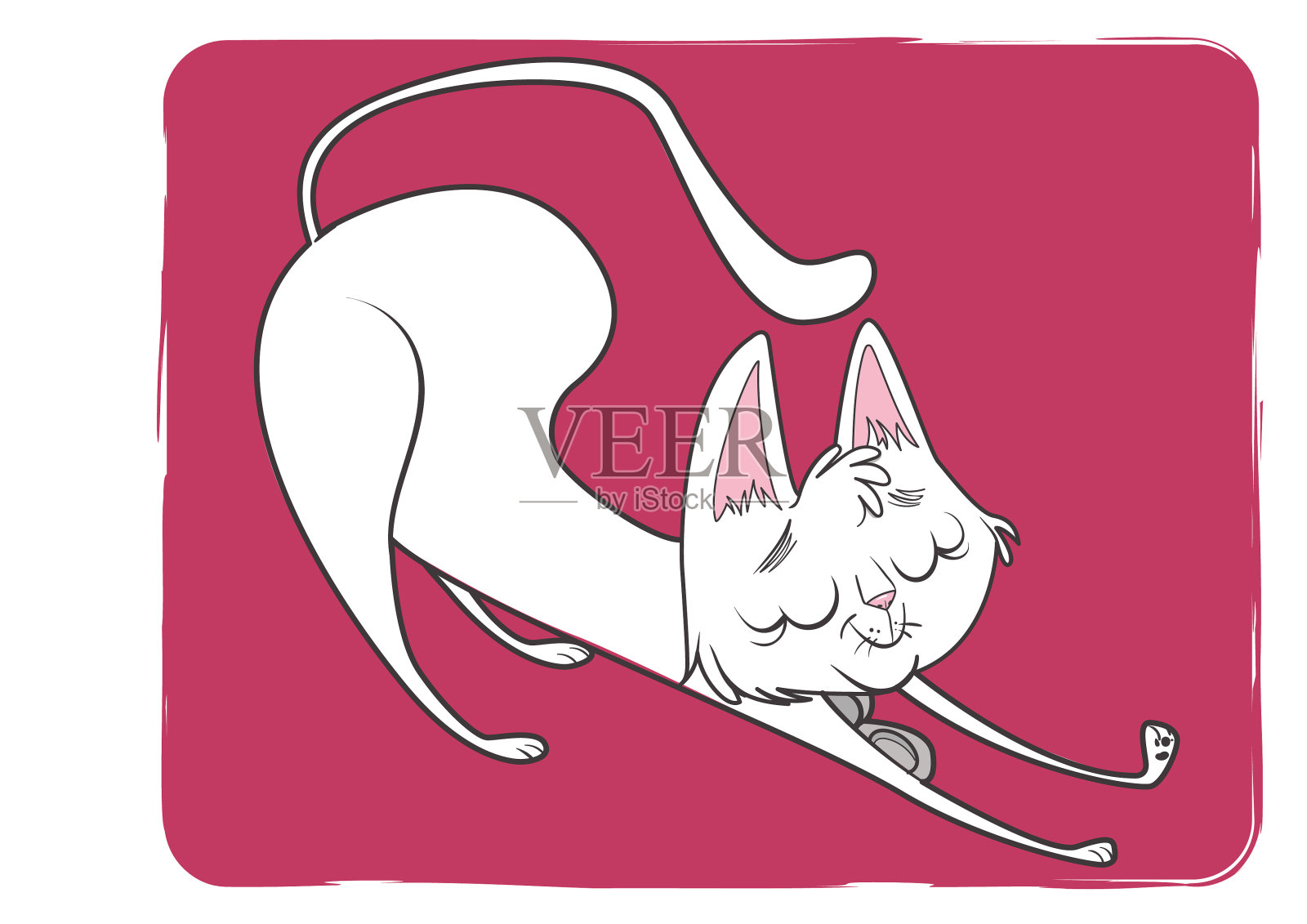 白色的猫设计元素图片