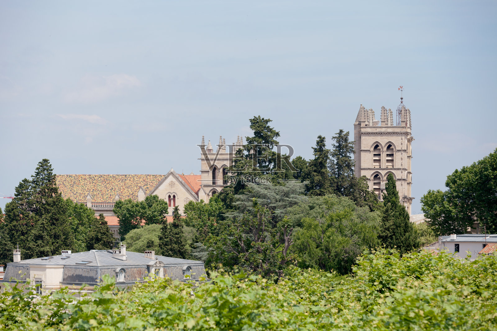 蒙彼利埃大教堂照片摄影图片
