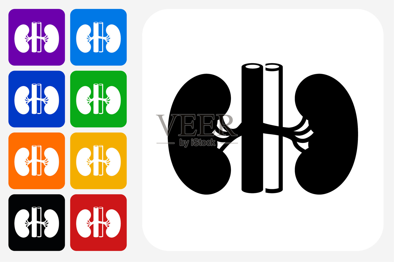 肾脏图标方形按钮设置插画图片素材