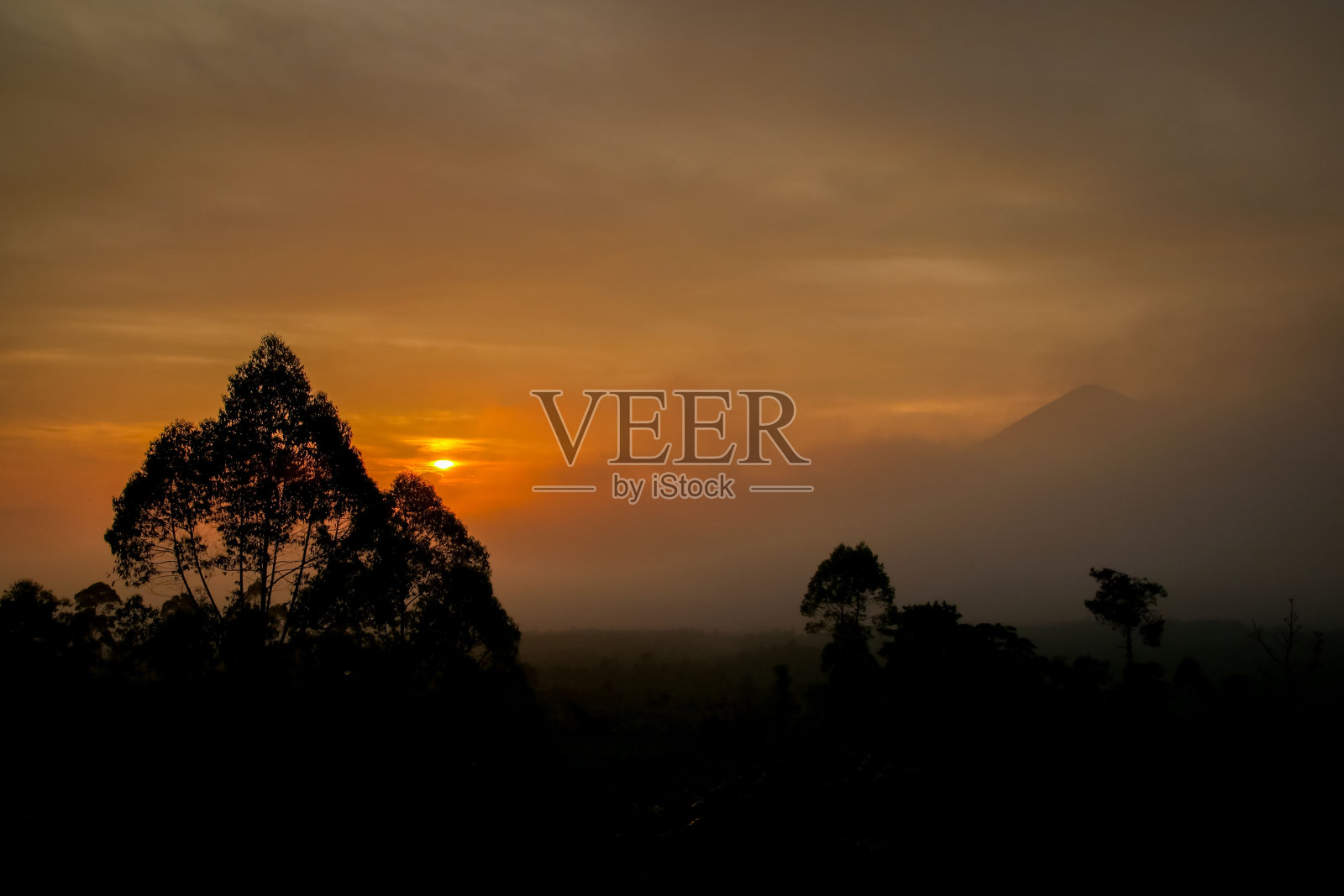 树木的剪影和朦胧的森林在黎明与戏剧性的日出在背景照片摄影图片