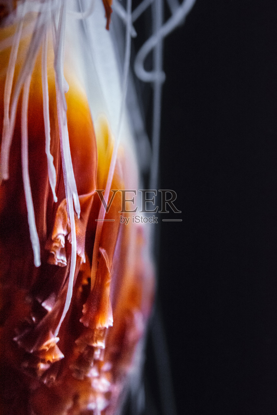 抽象的自然背景照片摄影图片